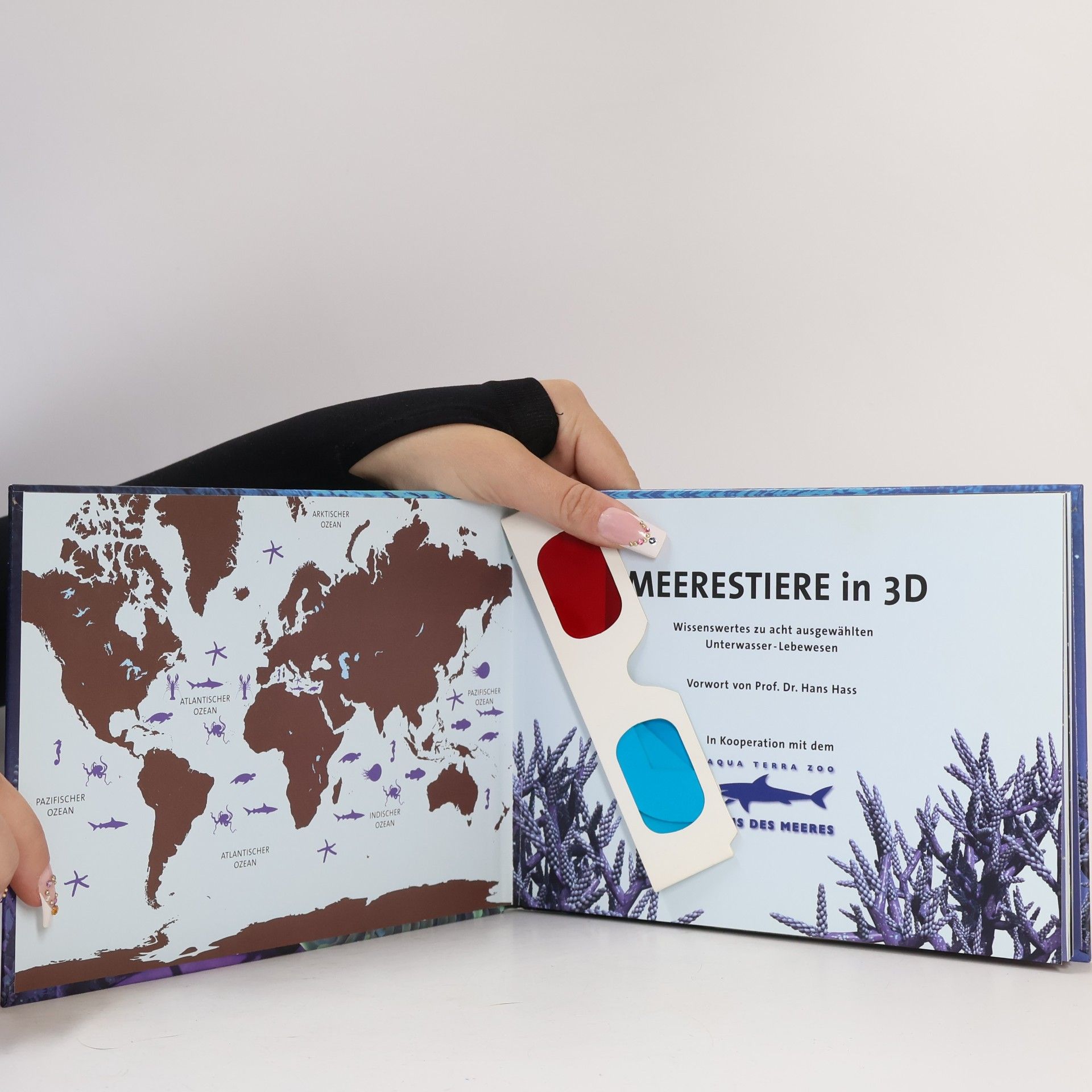 Hans Hass Meerestiere in 3D