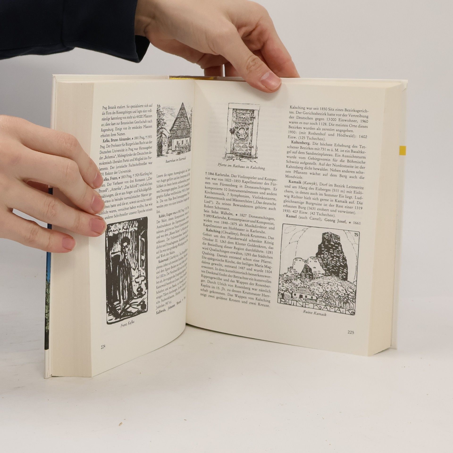 Rudolf Hemmerle Sudetenland Lexikon : Geografie - Geschichte - Kultur