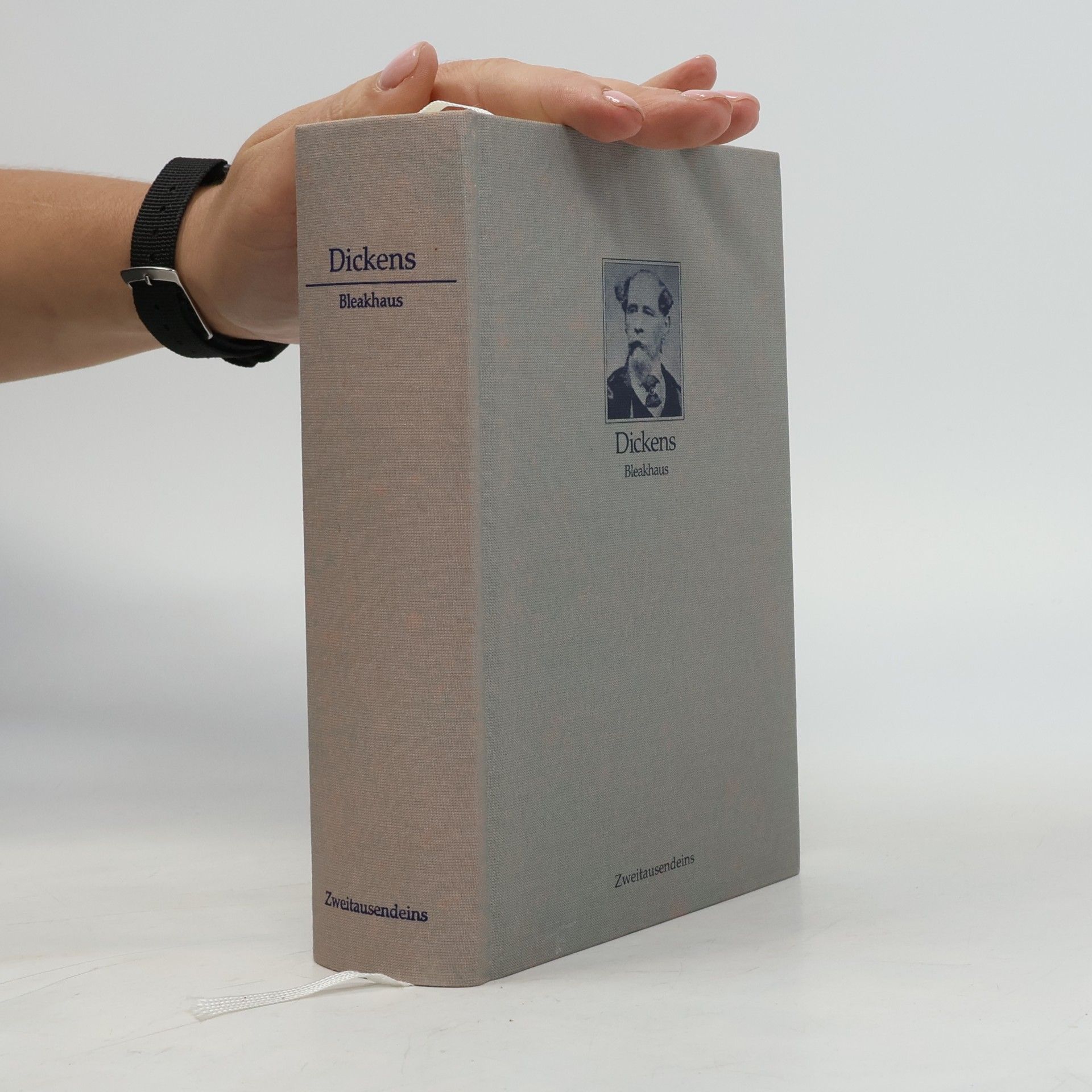 Charles Dickens Bleakhaus