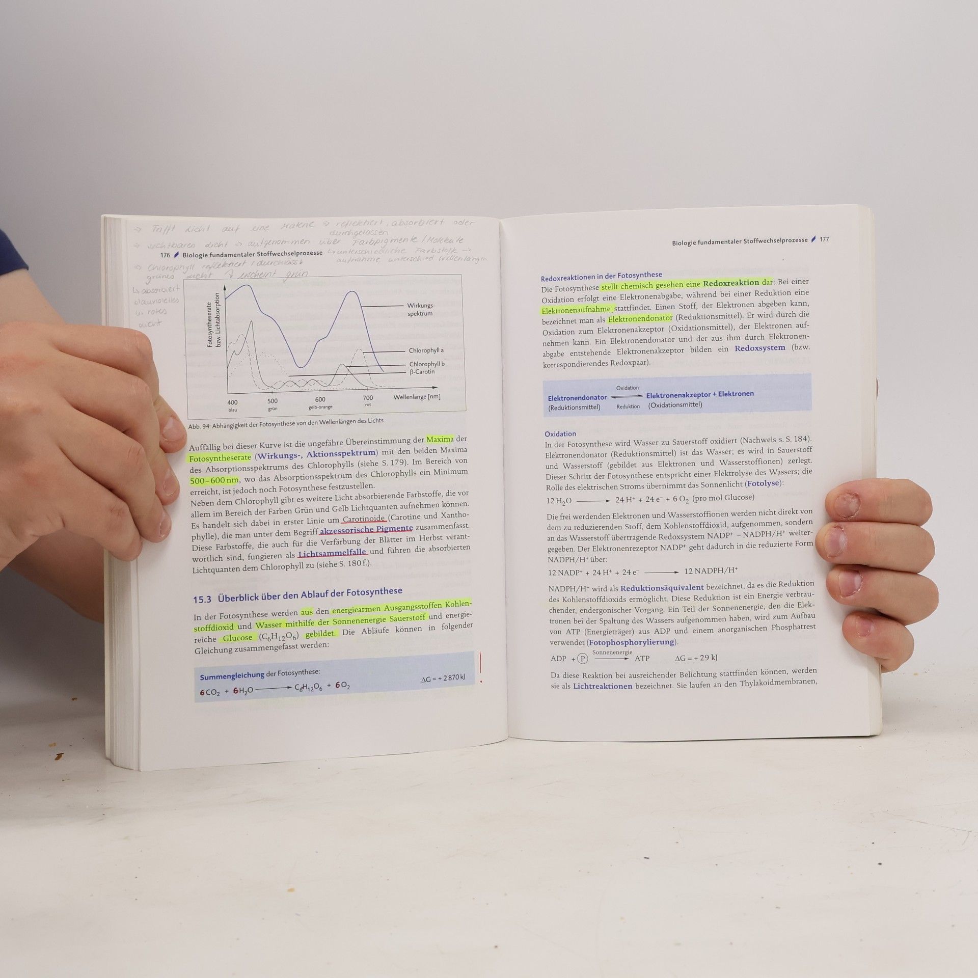 Brigitte Meinhard Abitur-Training Biologie 1. Genetik, Stoffwechsel, Ökologie