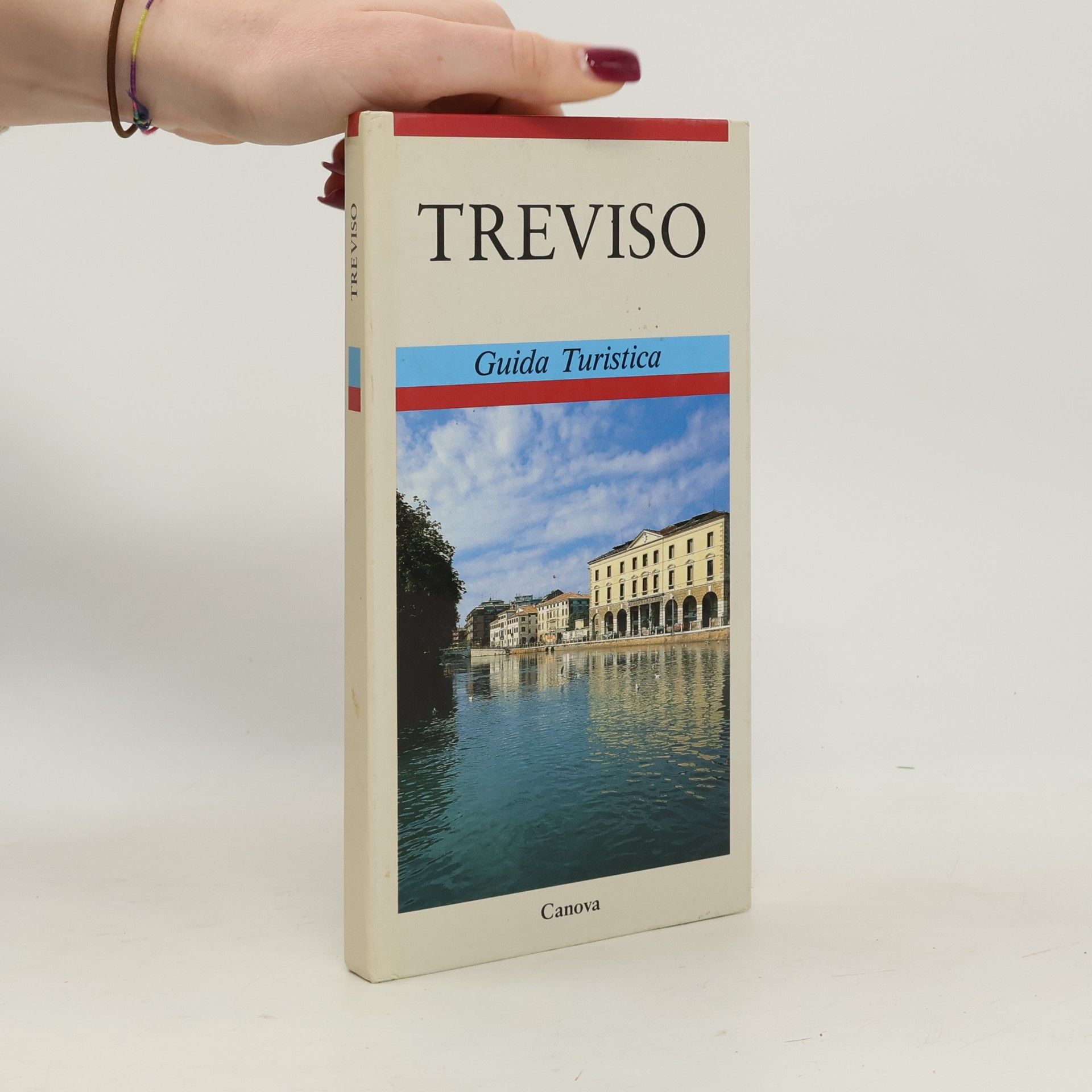 Il Veneto. Treviso e la Marca: Treviso