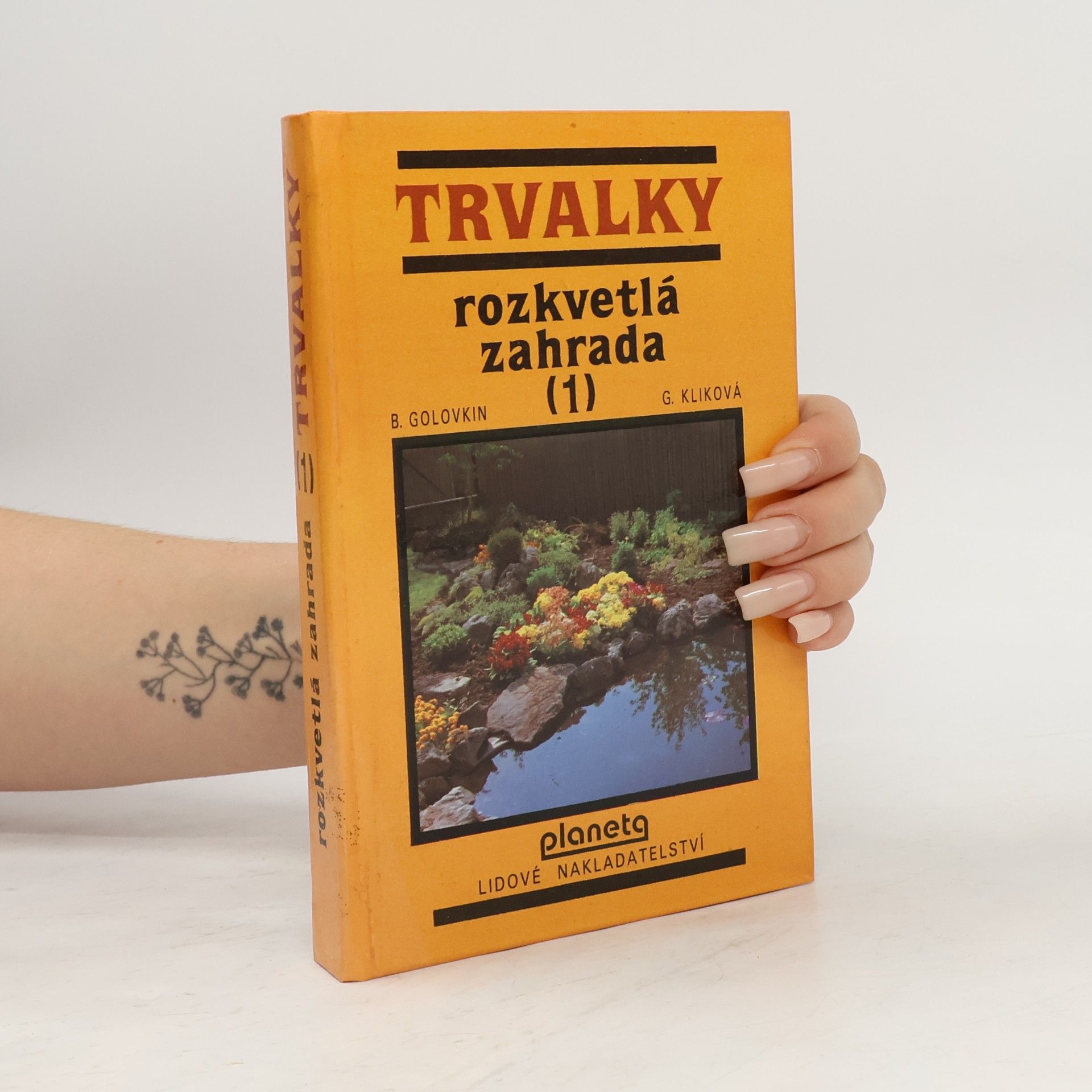 Trvalky