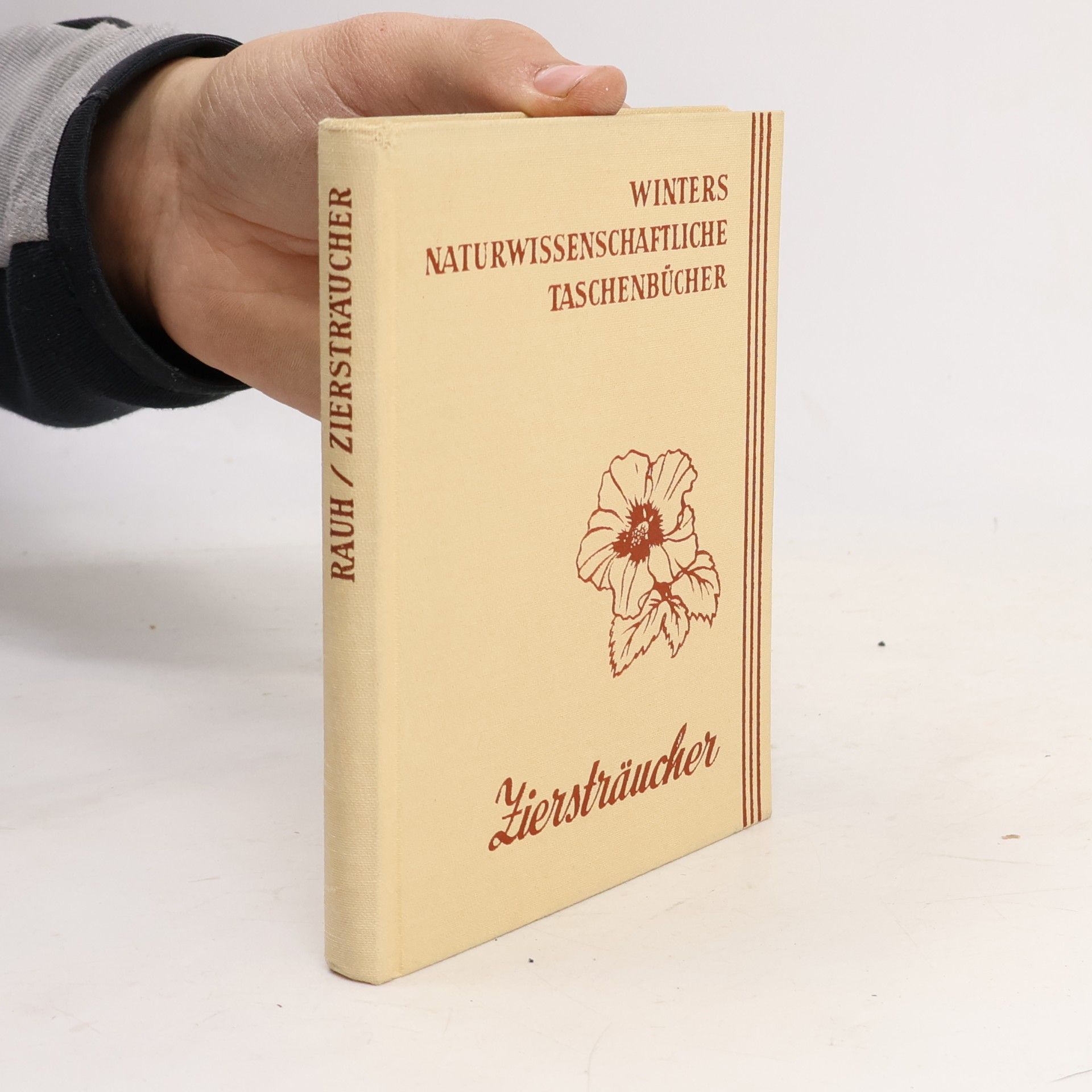 Ziersträucher