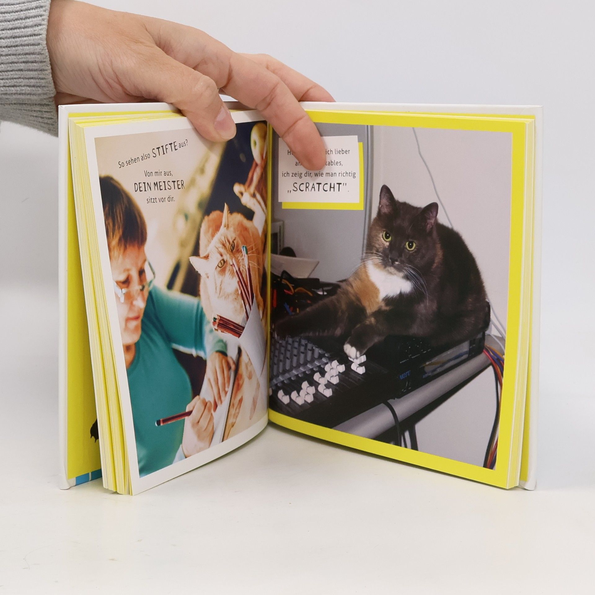 Malcolm Katz Meine Katze ist ein Arschloch - deine auch?
