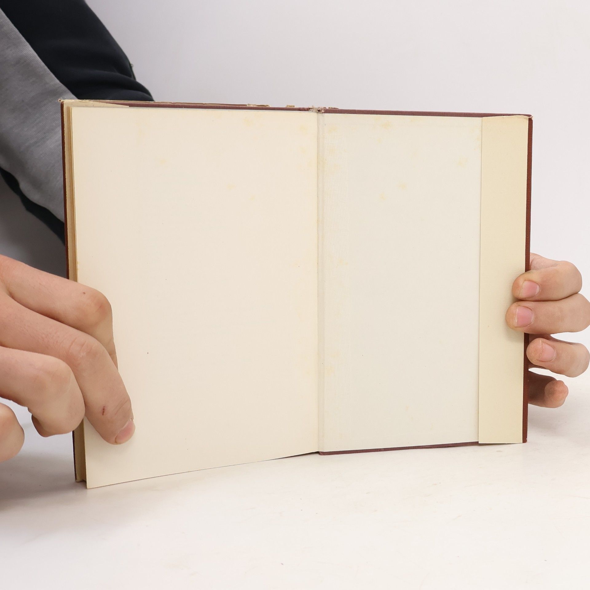 Paul Valéry Tanz, Zeichnung und Degas