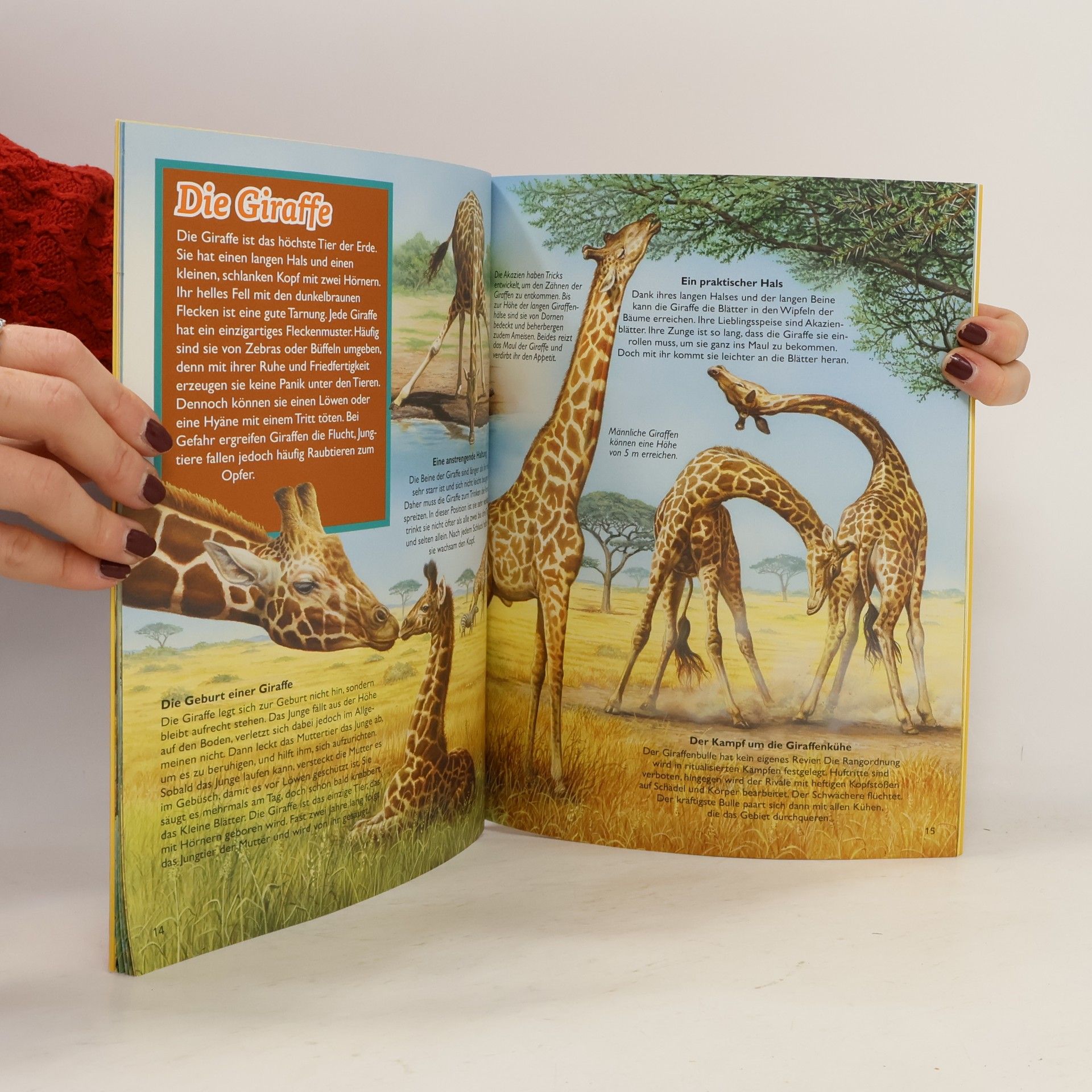 Autores varios Tiere Afrikas. Leben in der Wildnis