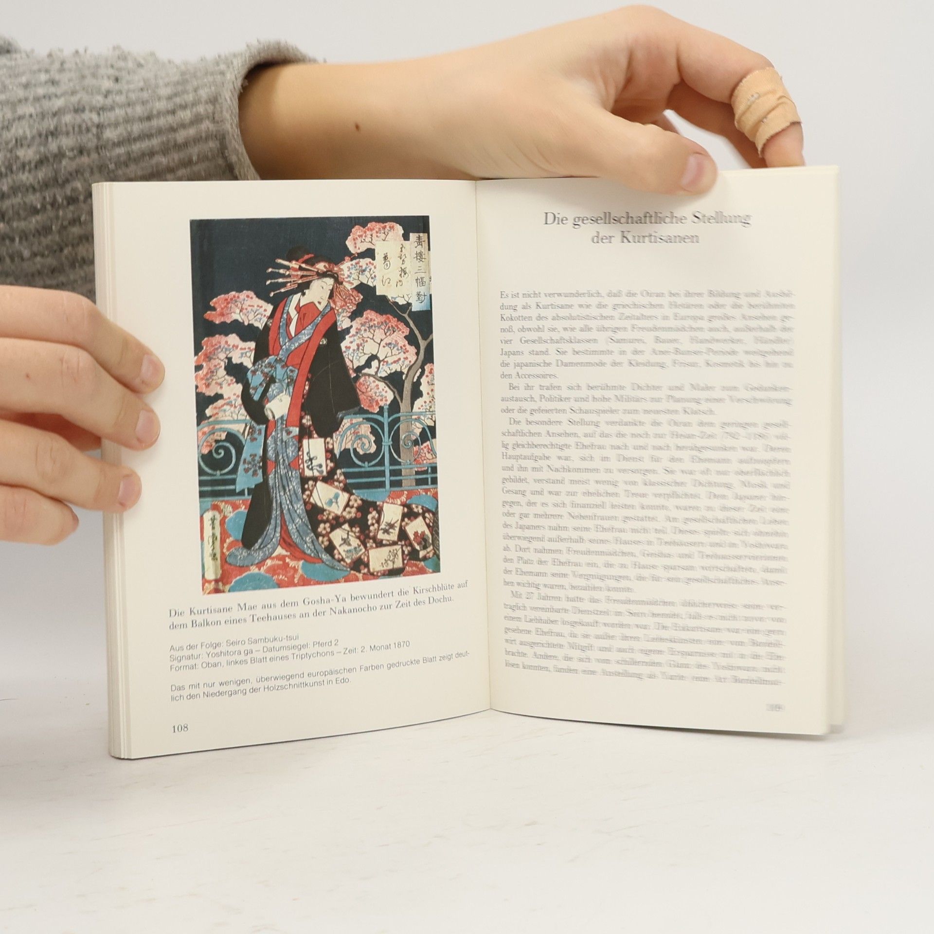 Hendrick Lühl Geishas und Kurtisanen