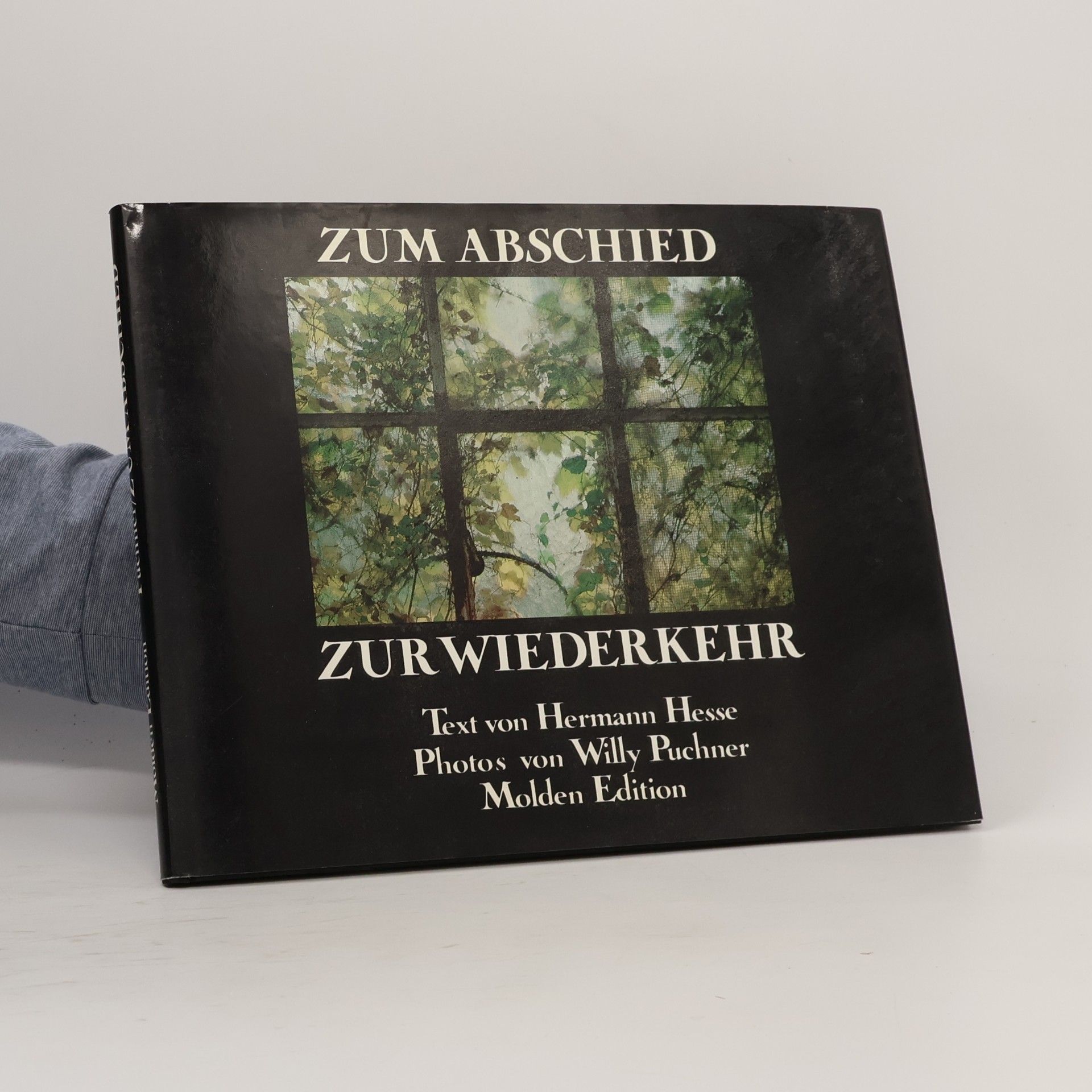 Zum Abschied, zur Wiederkehr