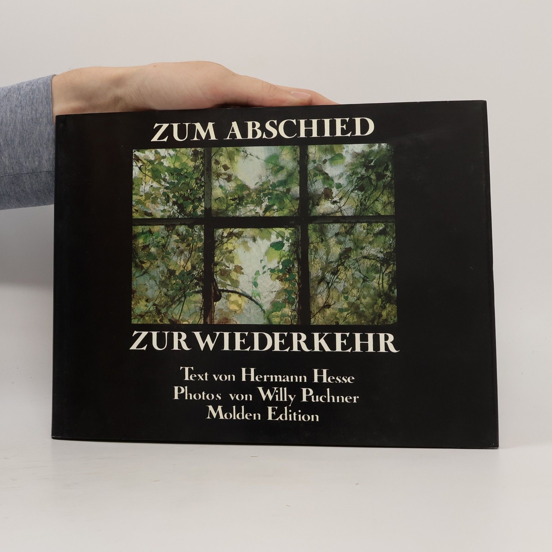 Hermann Hesse Zum Abschied, zur Wiederkehr