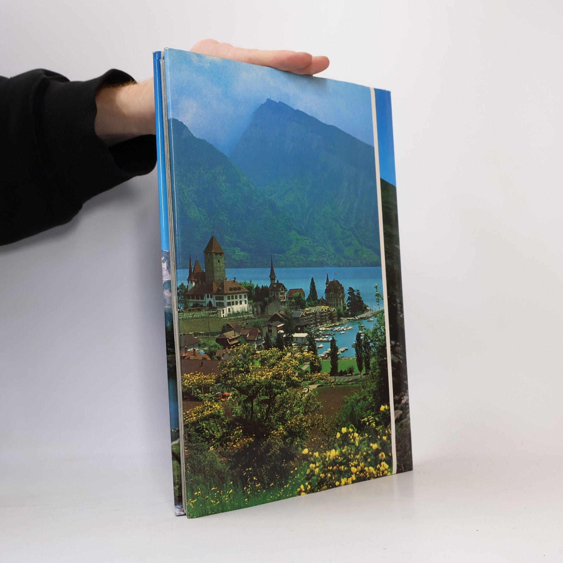 Various authors La Suisse
