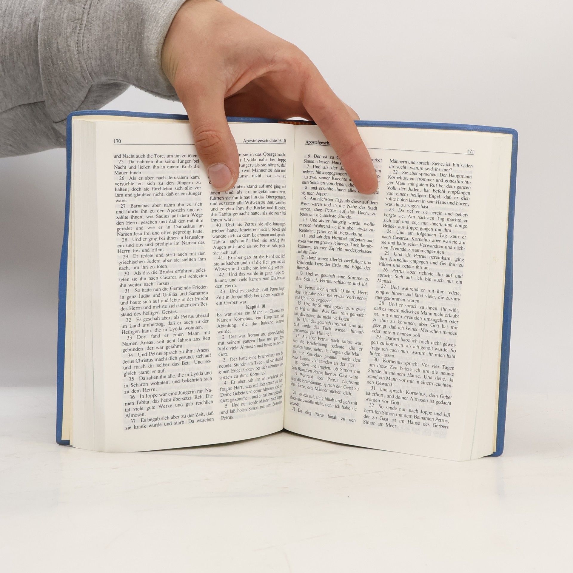 Autorenkollektiv Nový zákon. Das neue testament. The New Testament