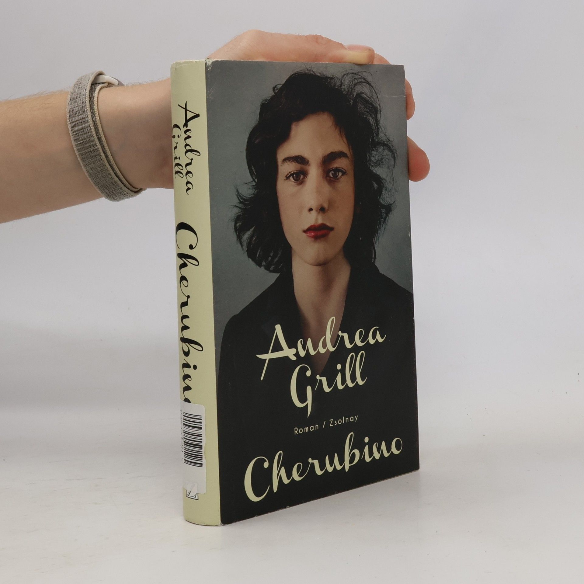 Cherubino