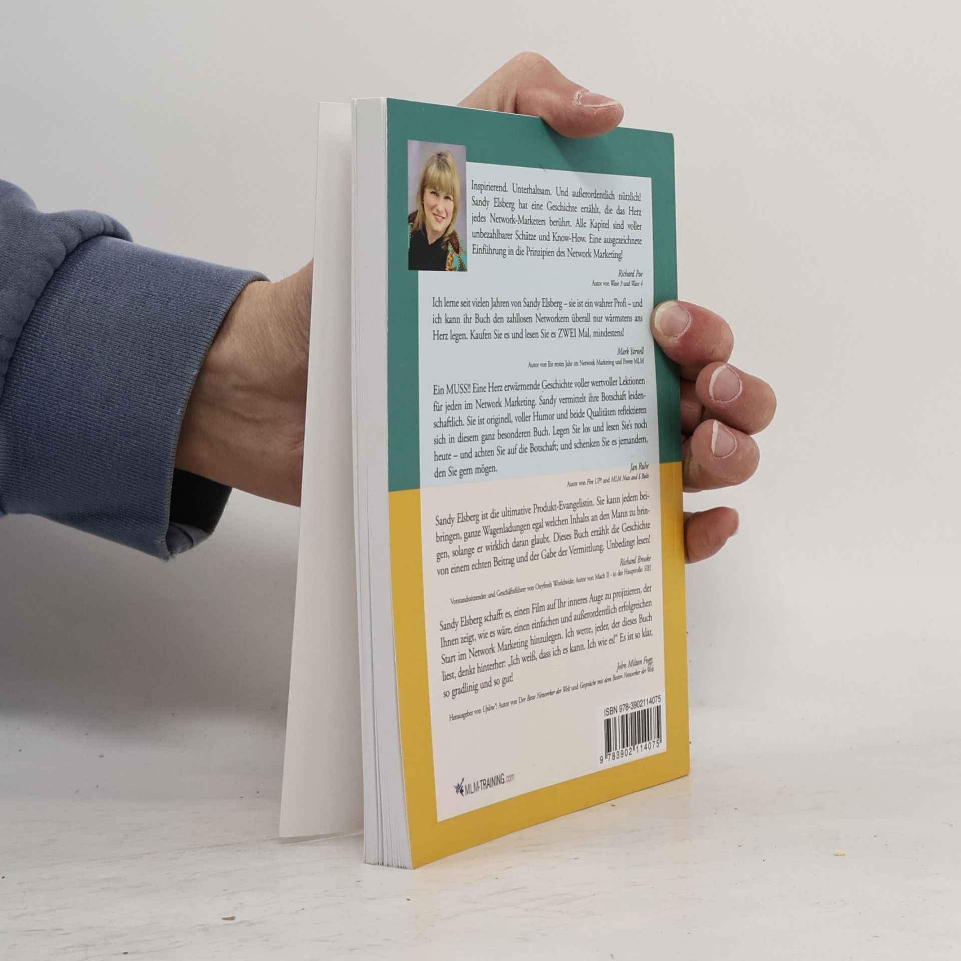 Sandy Elsberg Das Geheimnis der Taschenlady