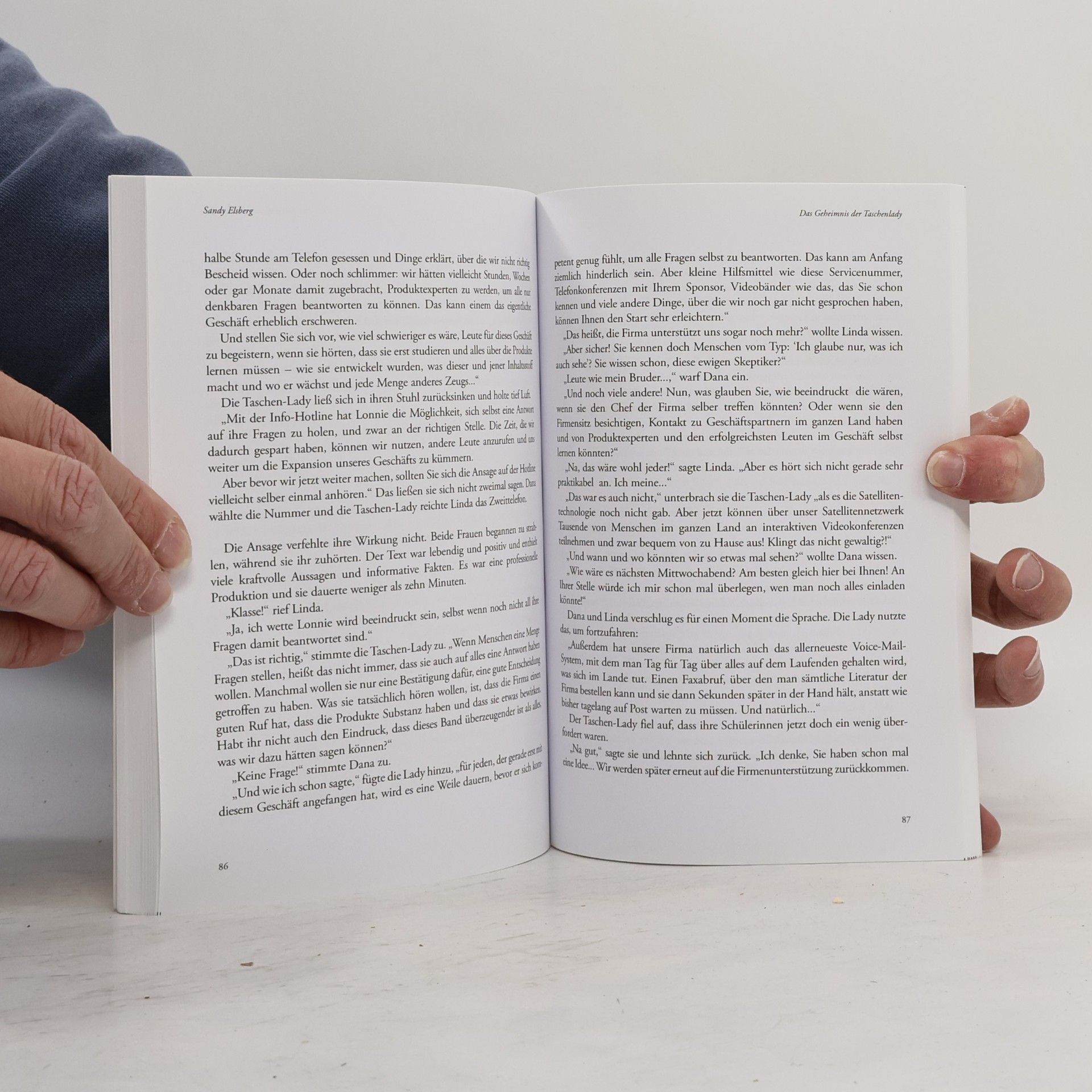 Sandy Elsberg Das Geheimnis der Taschenlady