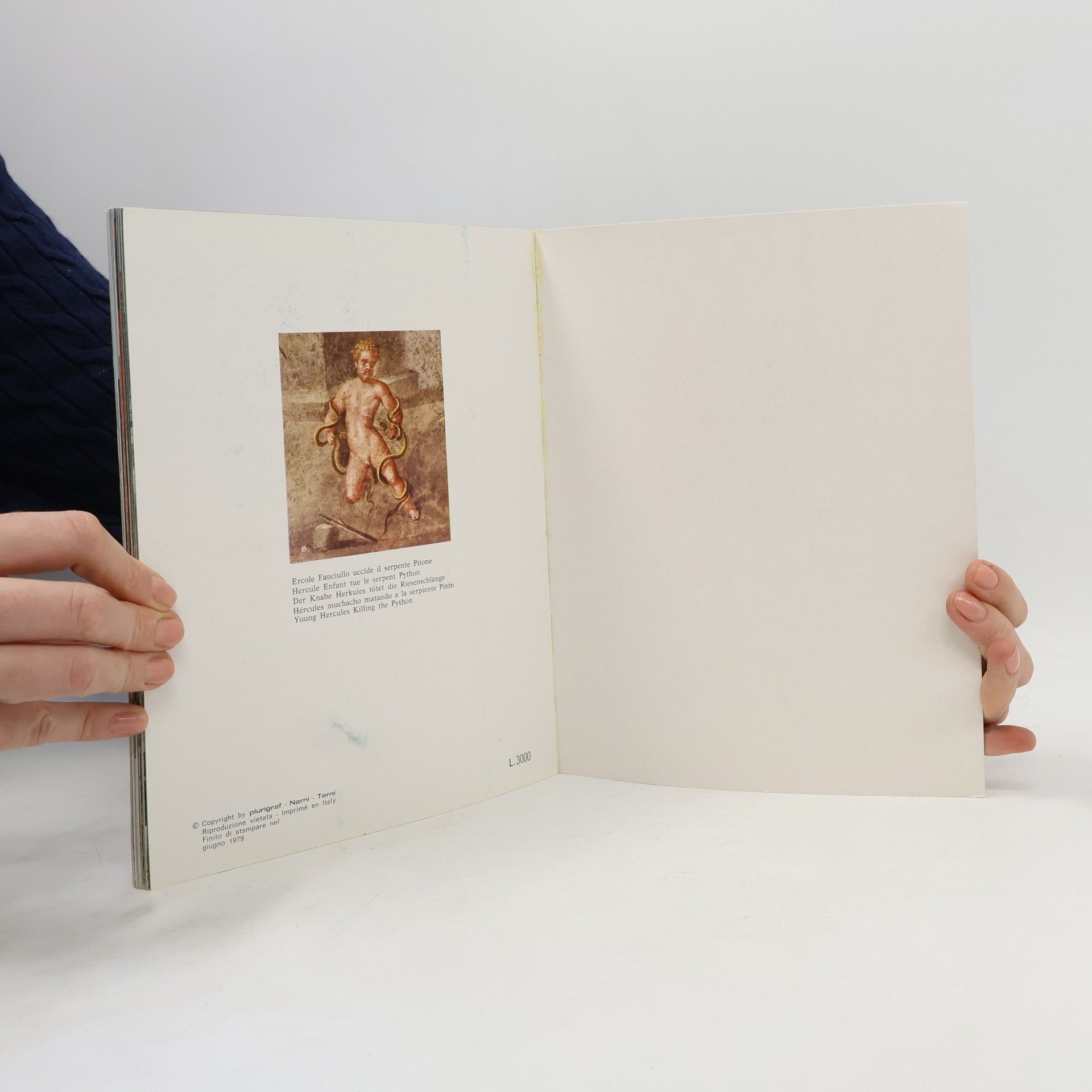 Autorenkollektiv Pompeji die Ausgrabungen