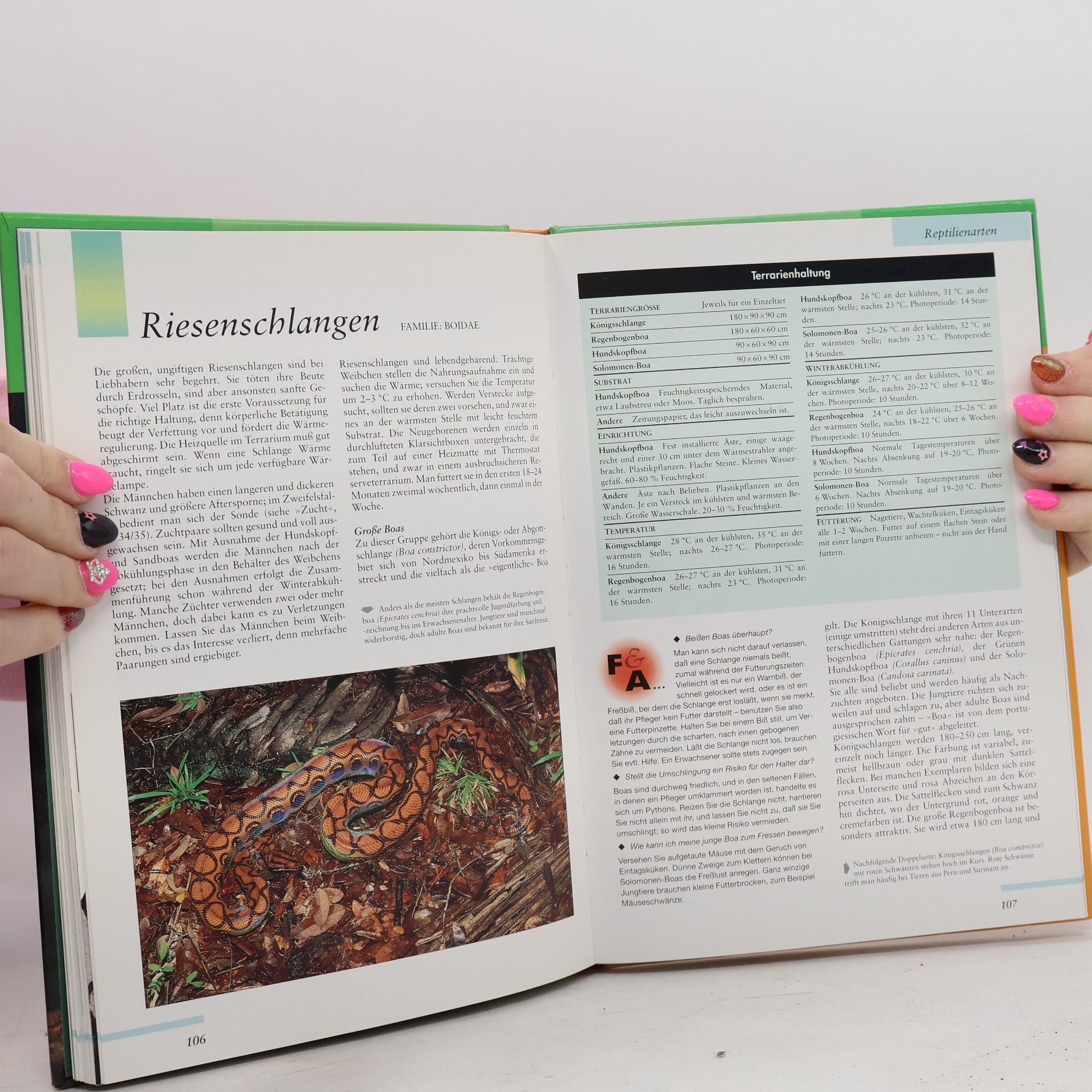 Robert Davies Das BLV-Terrarien-Buch