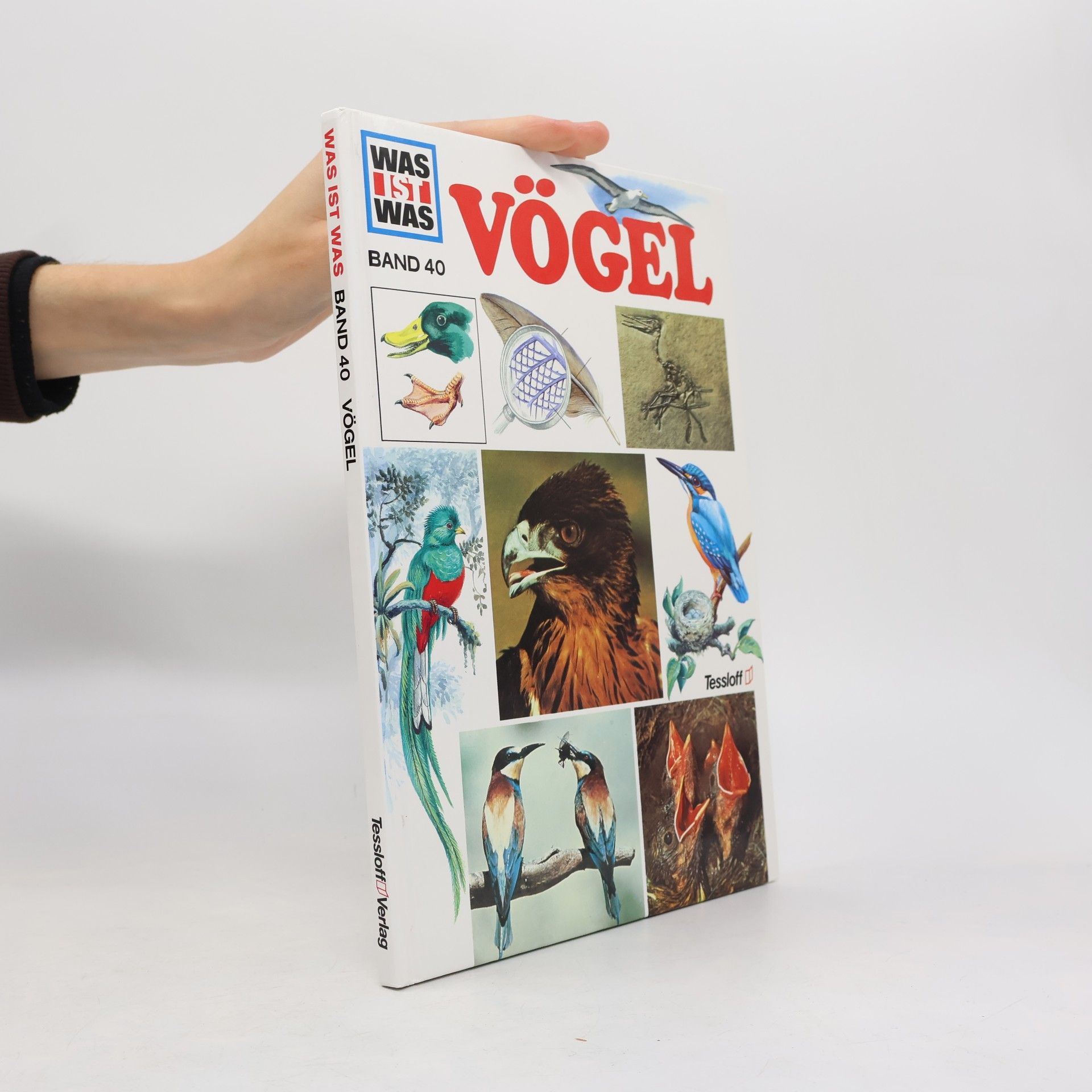 Vögel