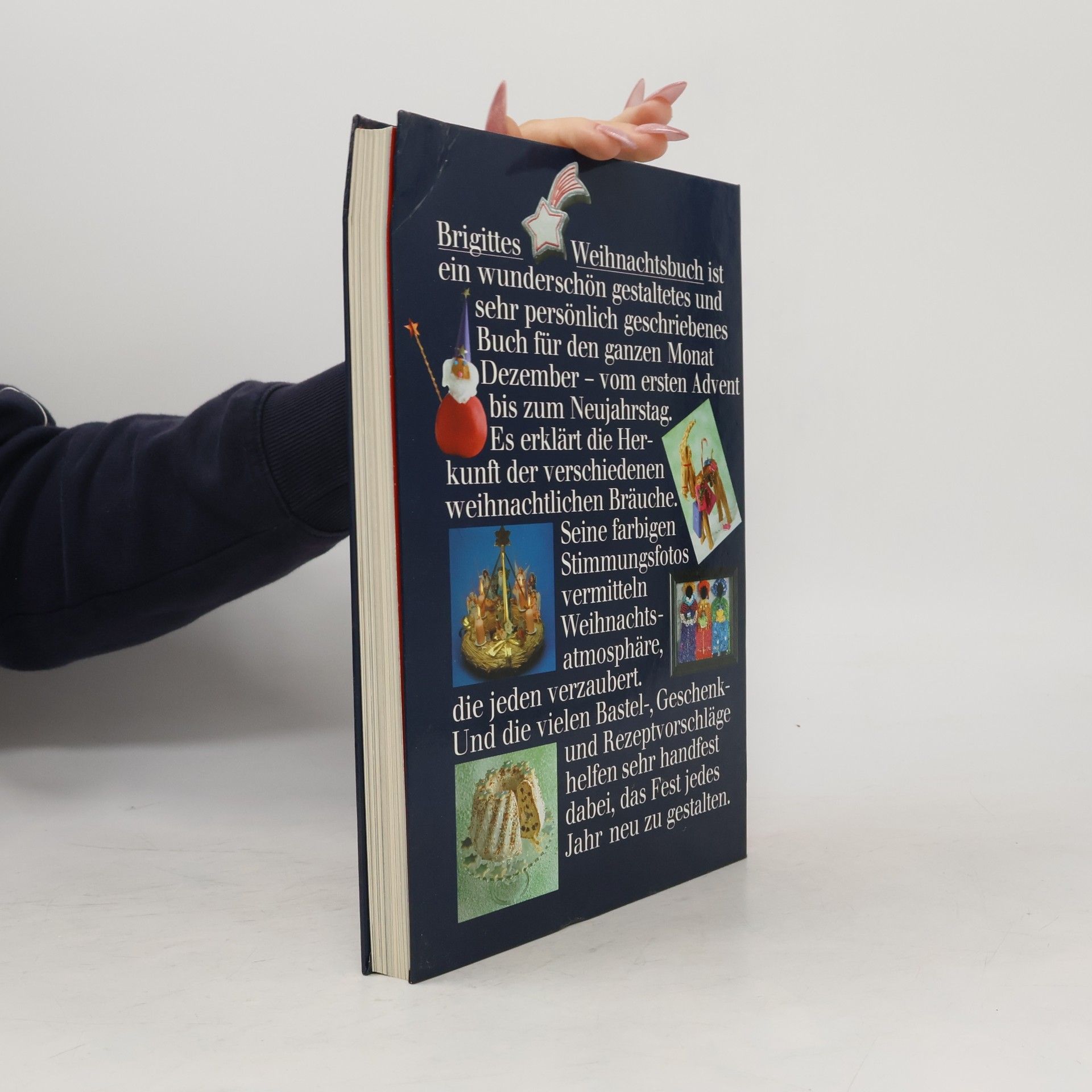 Ilse Döring Brigitte. Das große, bunte Weinachtsbuch