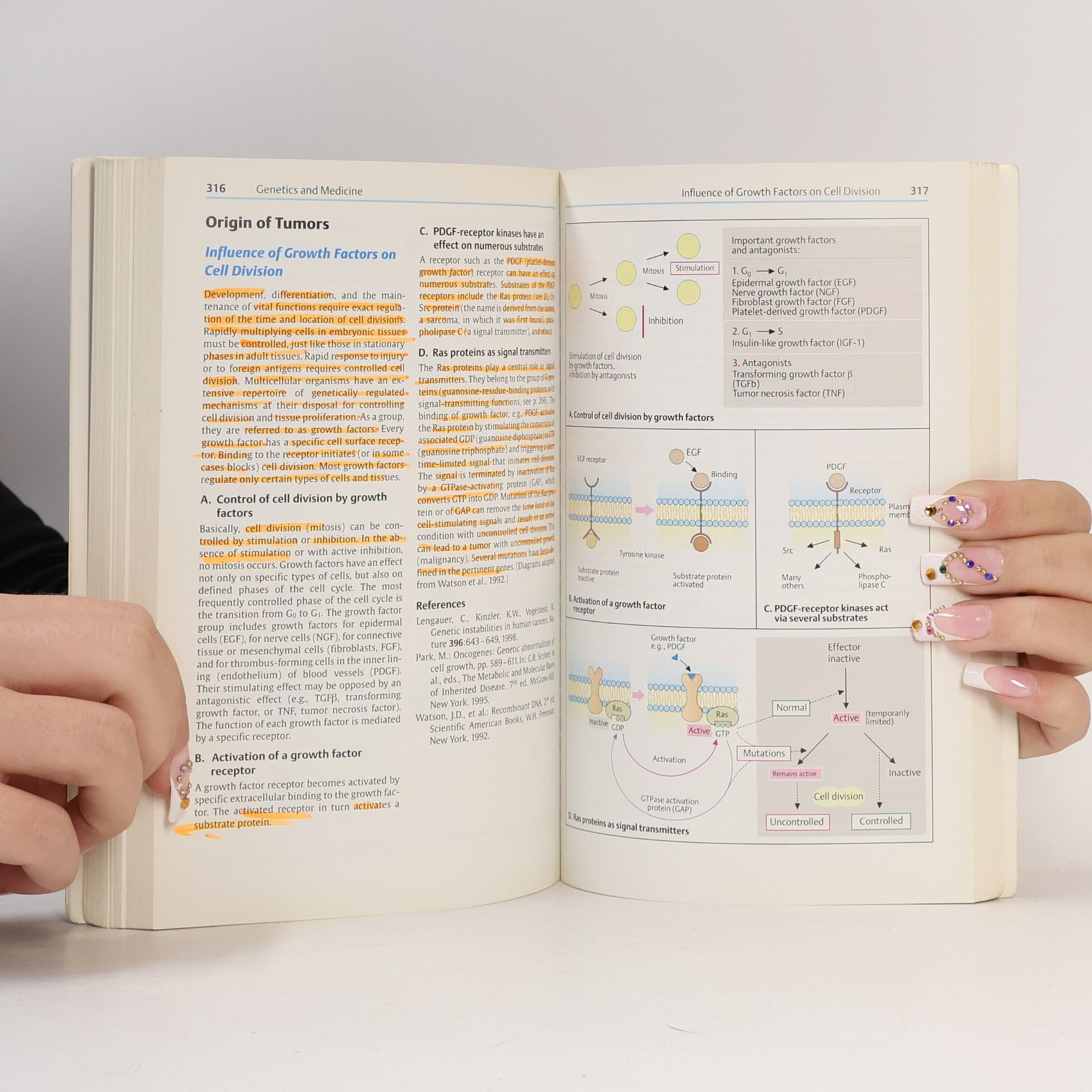 Eberhard Passarge Thieme Flexibook: Color Atlas of Genetics - 2nd Edition, Enlarged and Revised