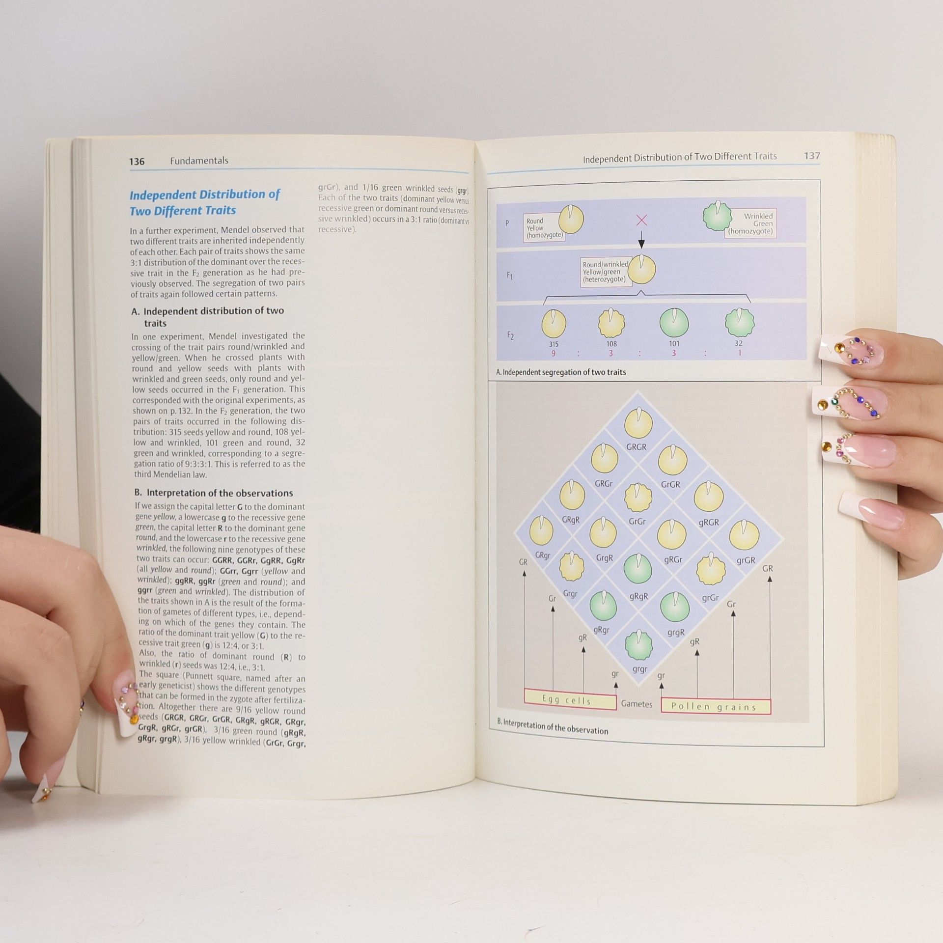 Eberhard Passarge Thieme Flexibook: Color Atlas of Genetics - 2nd Edition, Enlarged and Revised