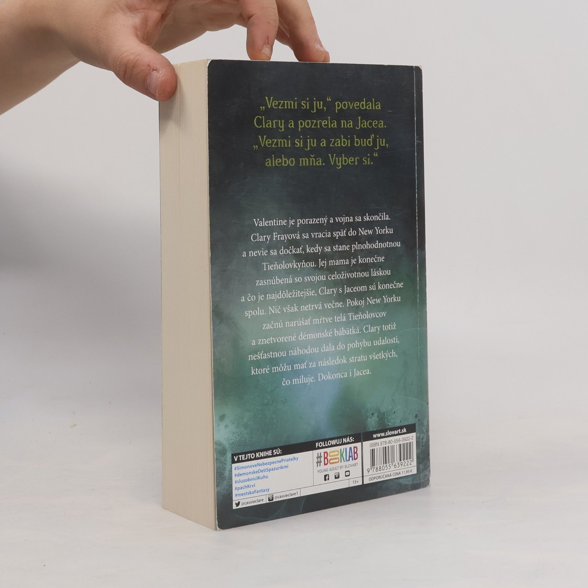 Cassandra Clare Mesto padlých anjelov