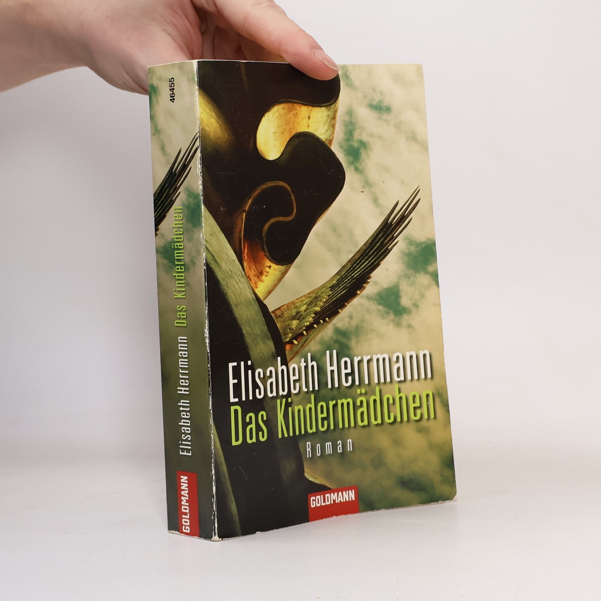 Elisabeth Hermann Das Kindermädchen