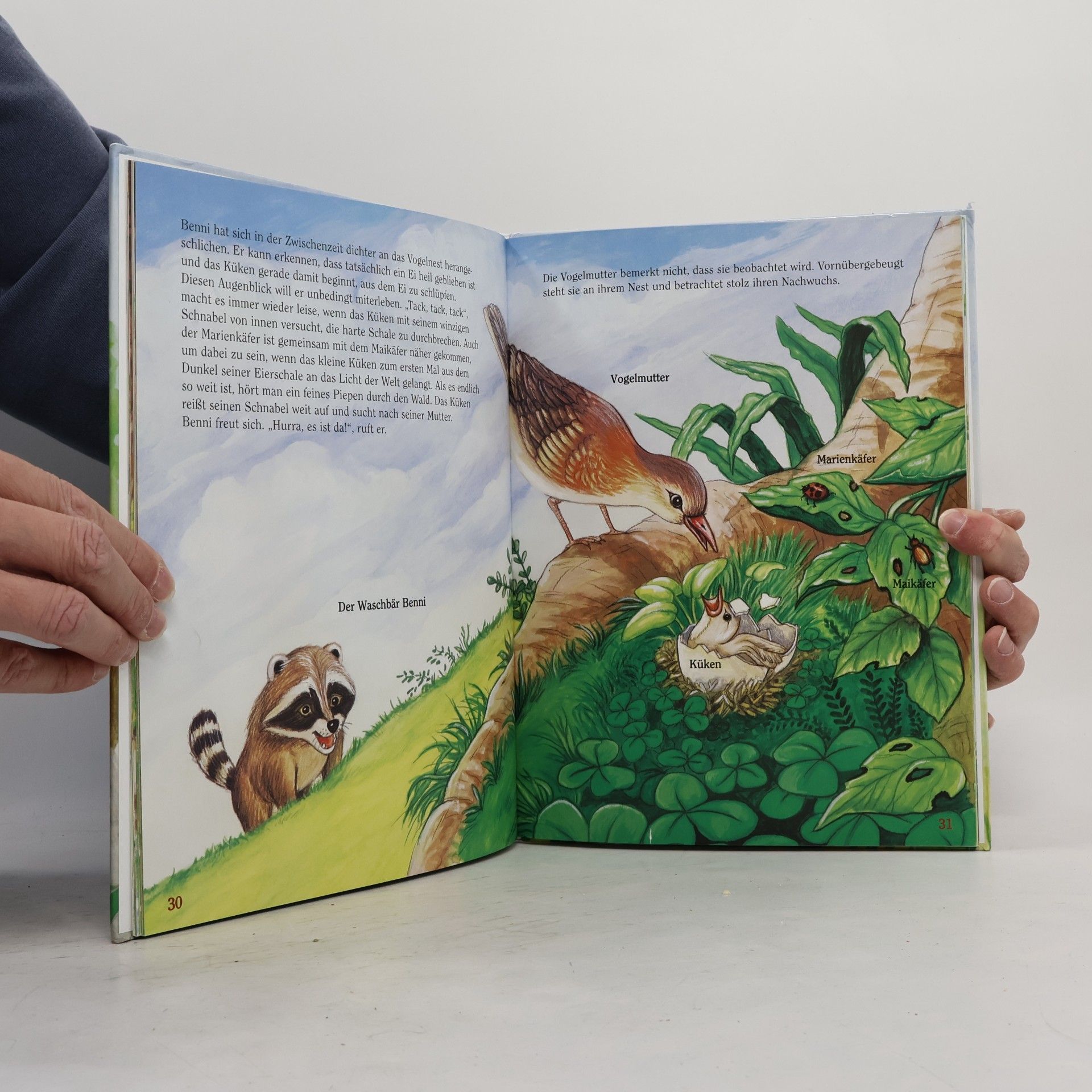 Doris Dehlia Der kleine Waschbär Benni und die Tiere im Wald