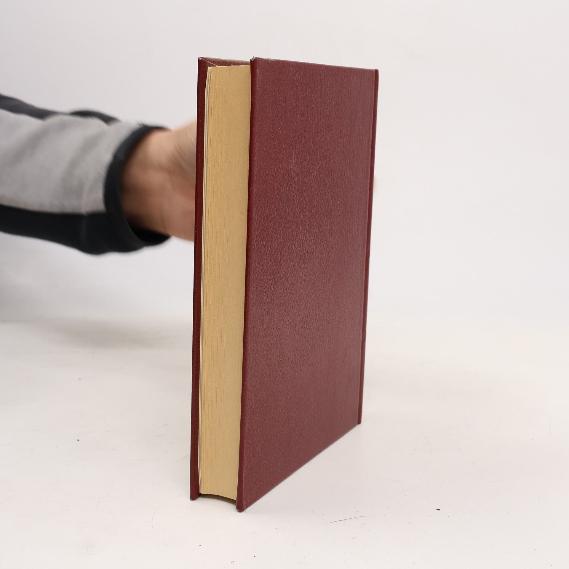 Mathias Jung Italienische Renaissance-Novellen
