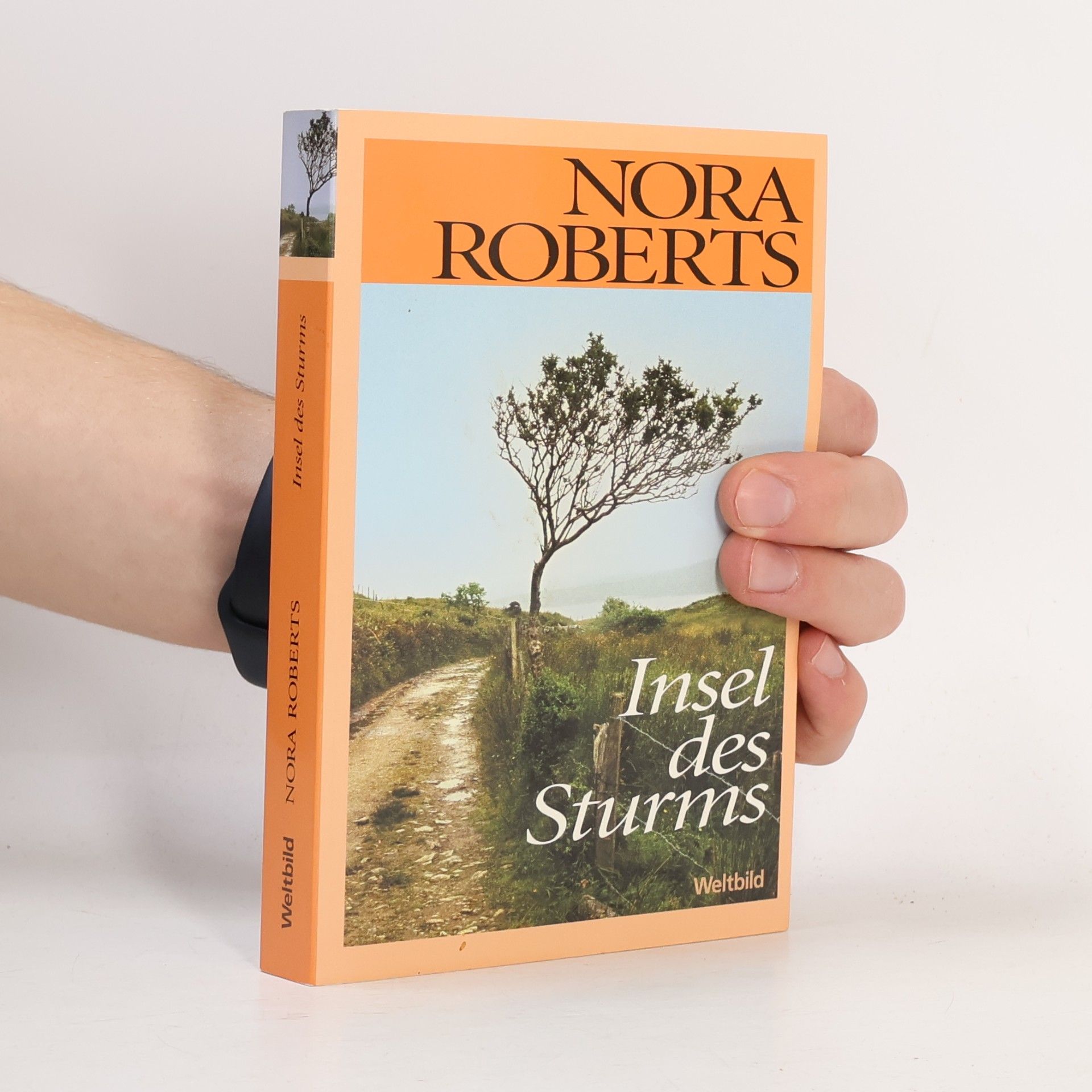 Nora Roberts Insel des Sturms