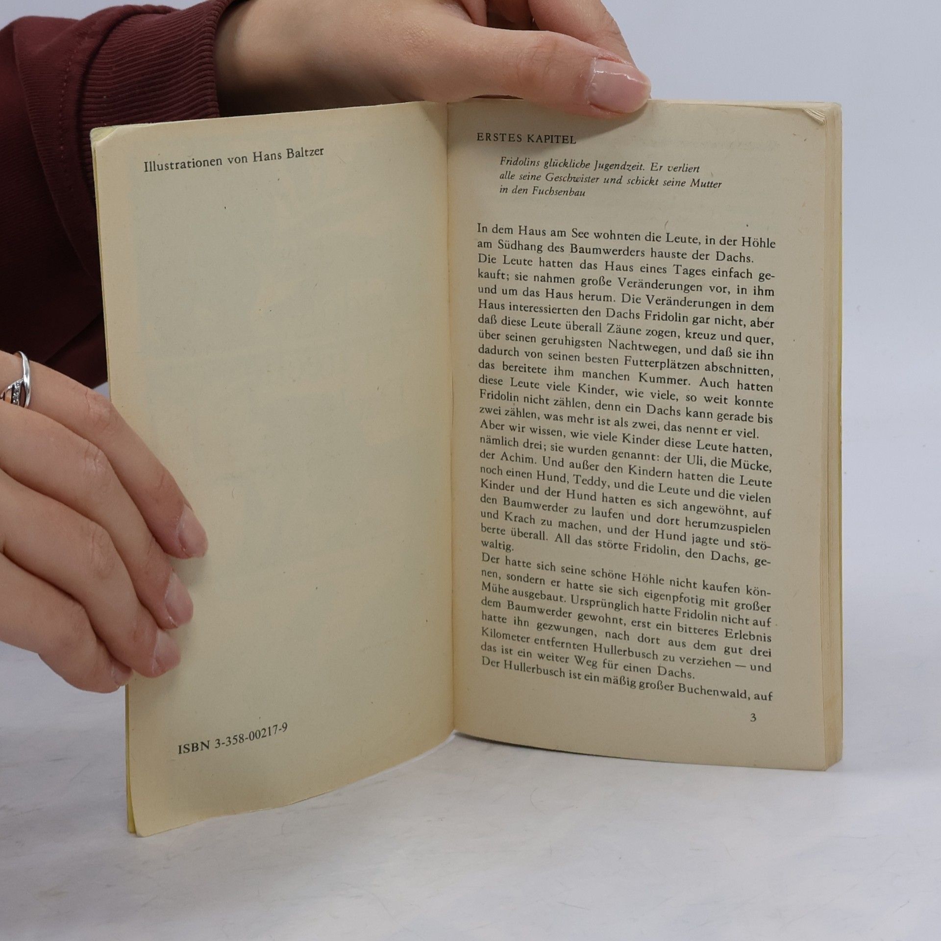 Hans Fallada Fridolin, der freche Dachs