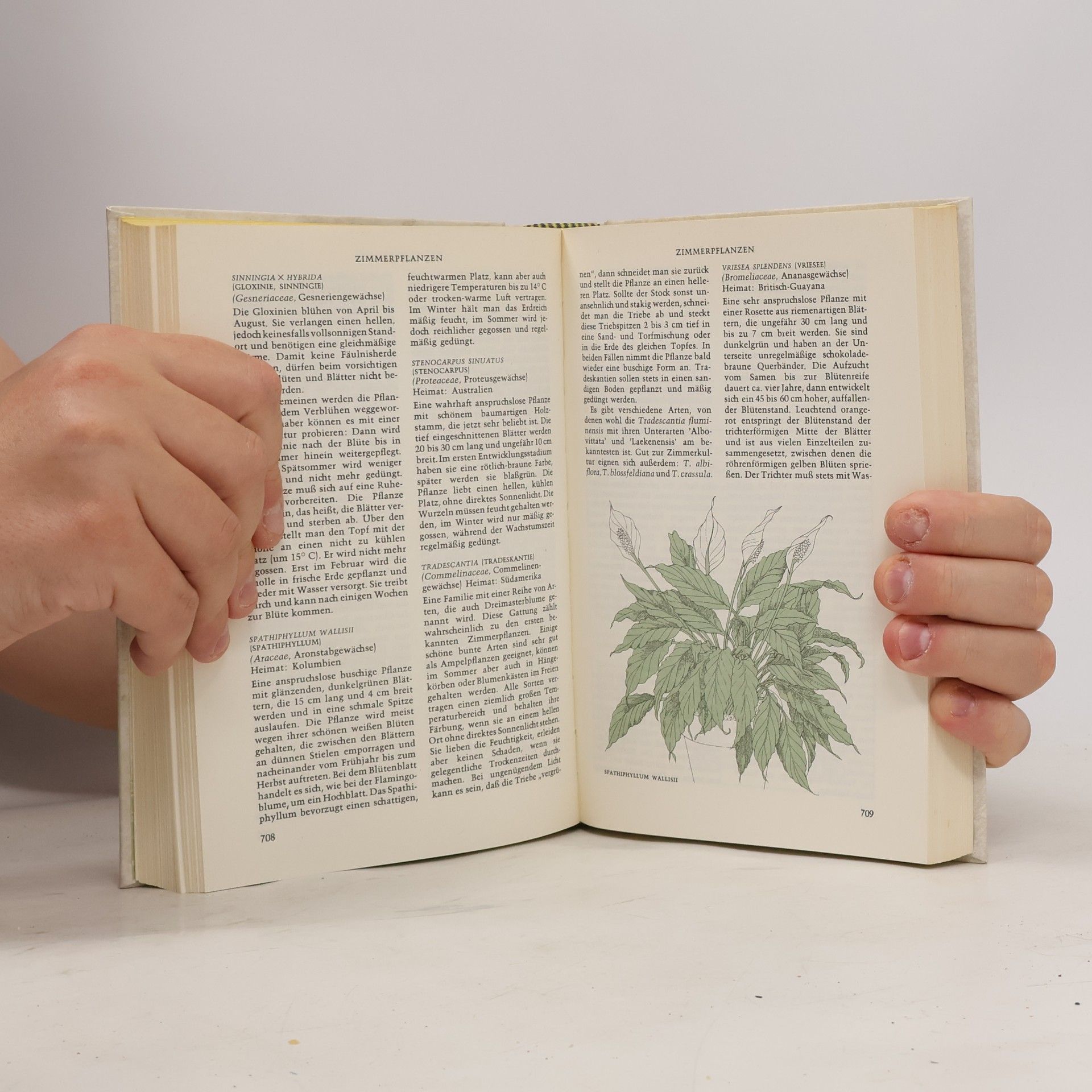 Various authors Das grosse Reader’s Digest Gartenbuch II.