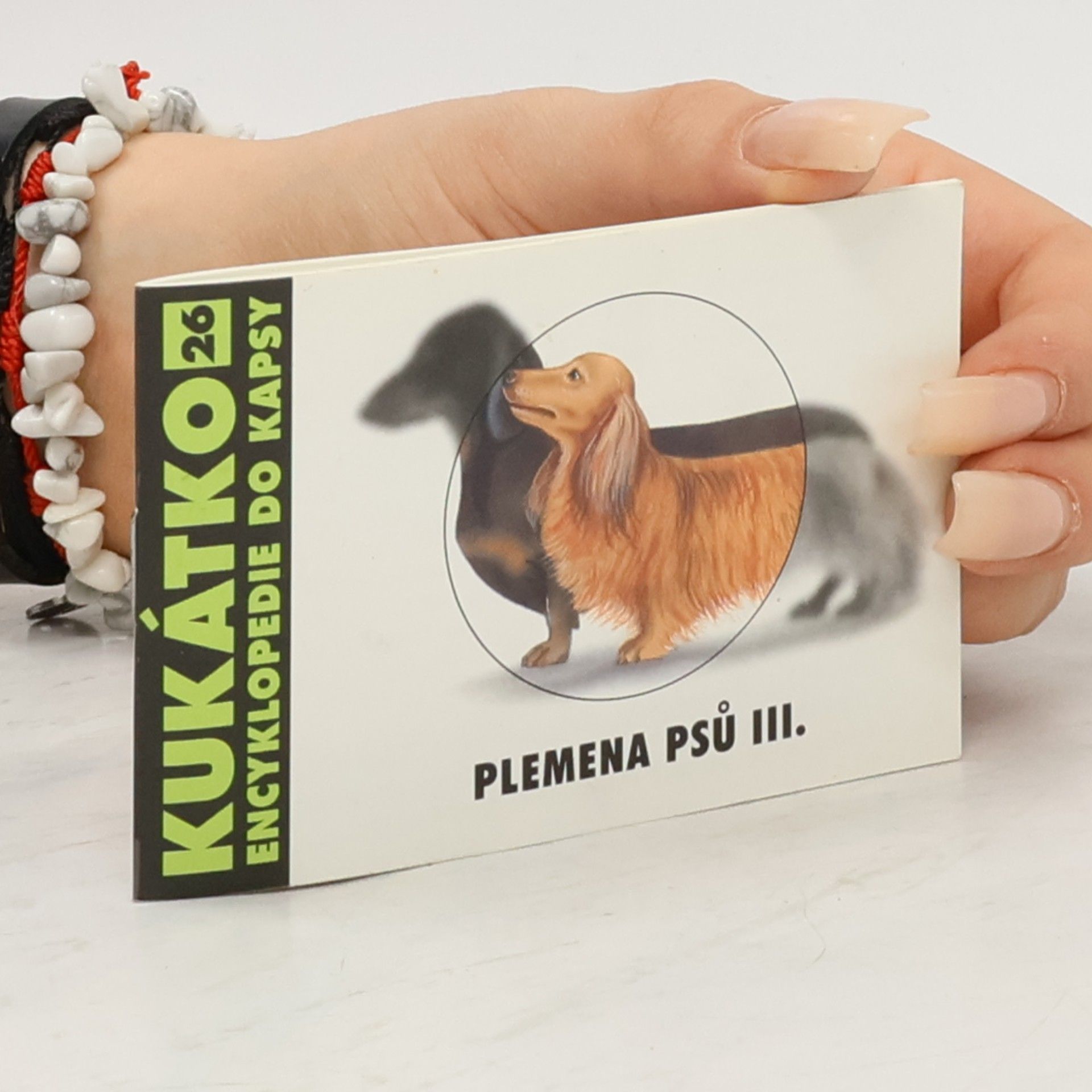Plemena psů III.