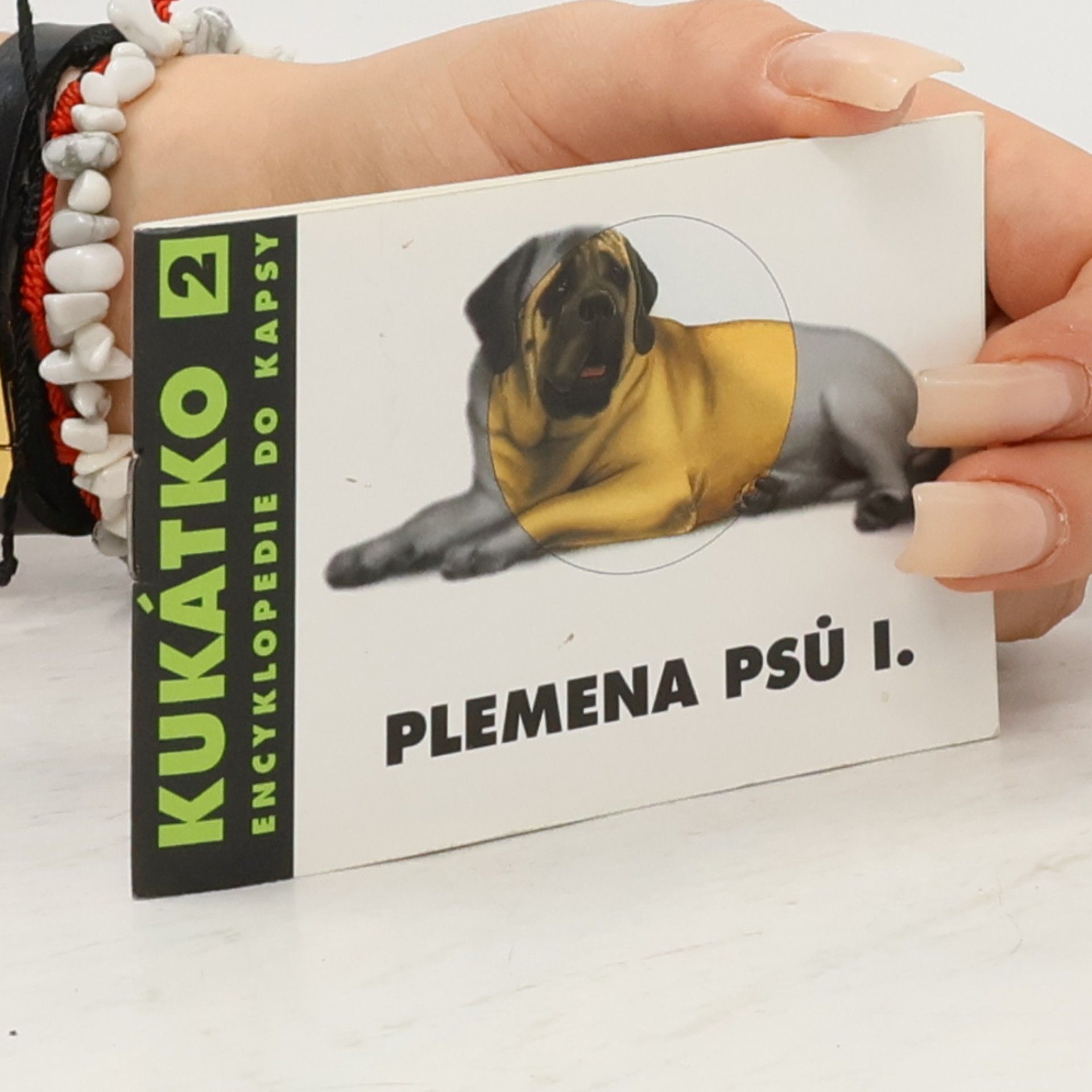 Plemena psů I.