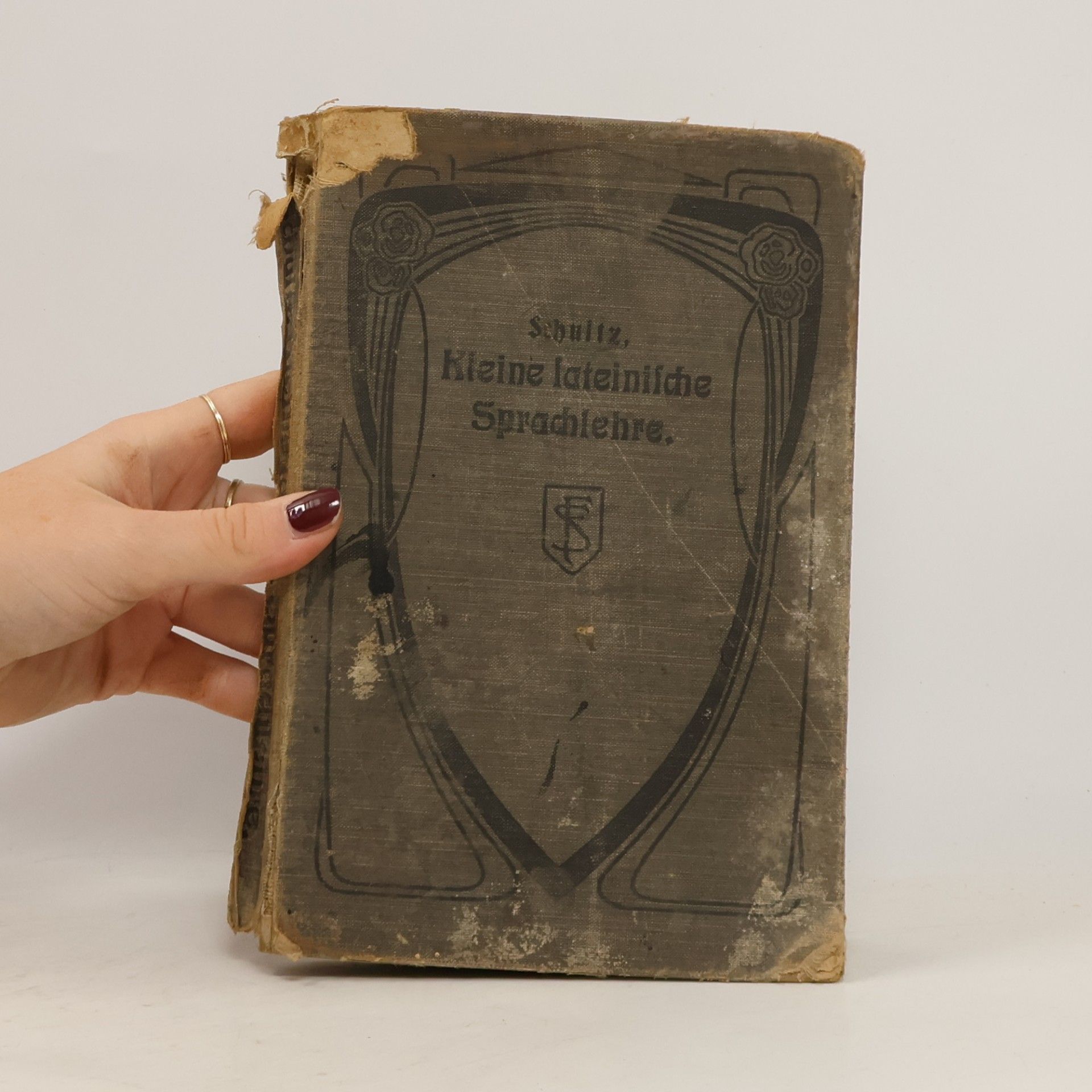 Ferdinand Schultz Kleine lateinische Sprachlehre