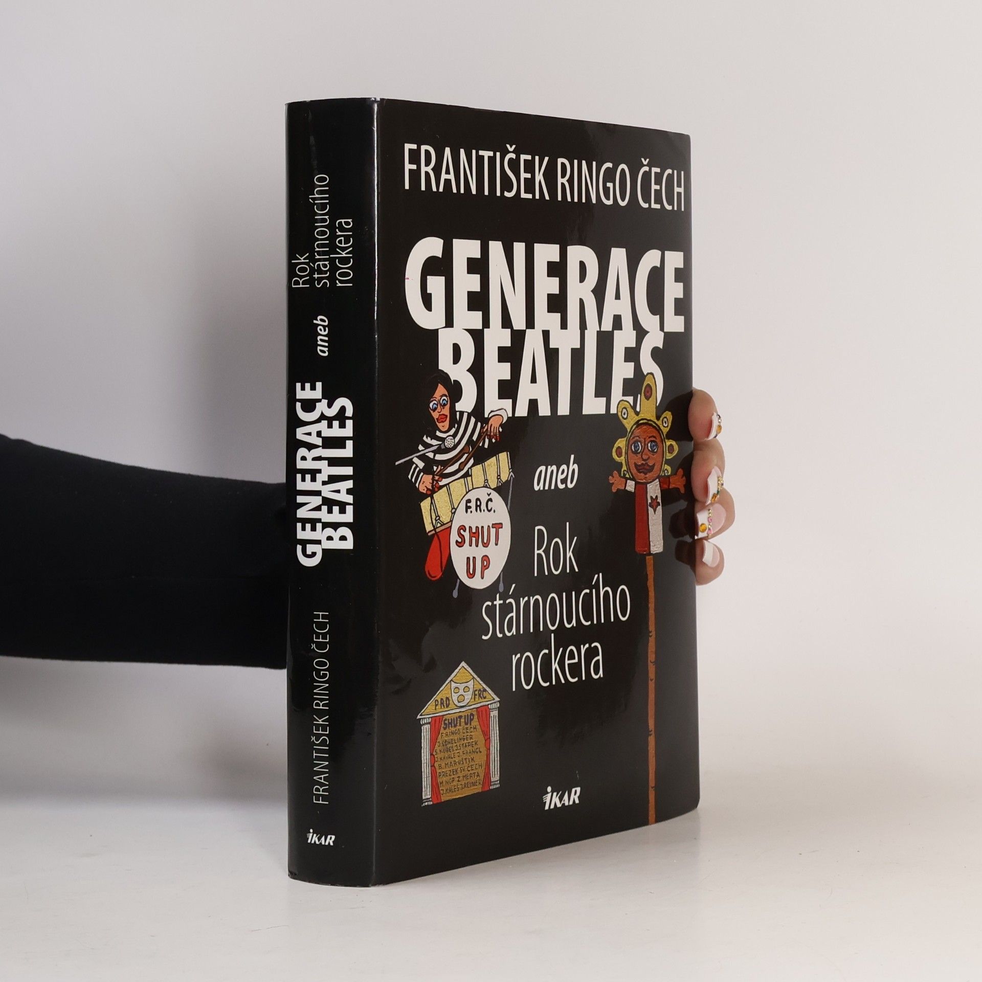 Generace Beatles, aneb, Rok stárnoucího rockera