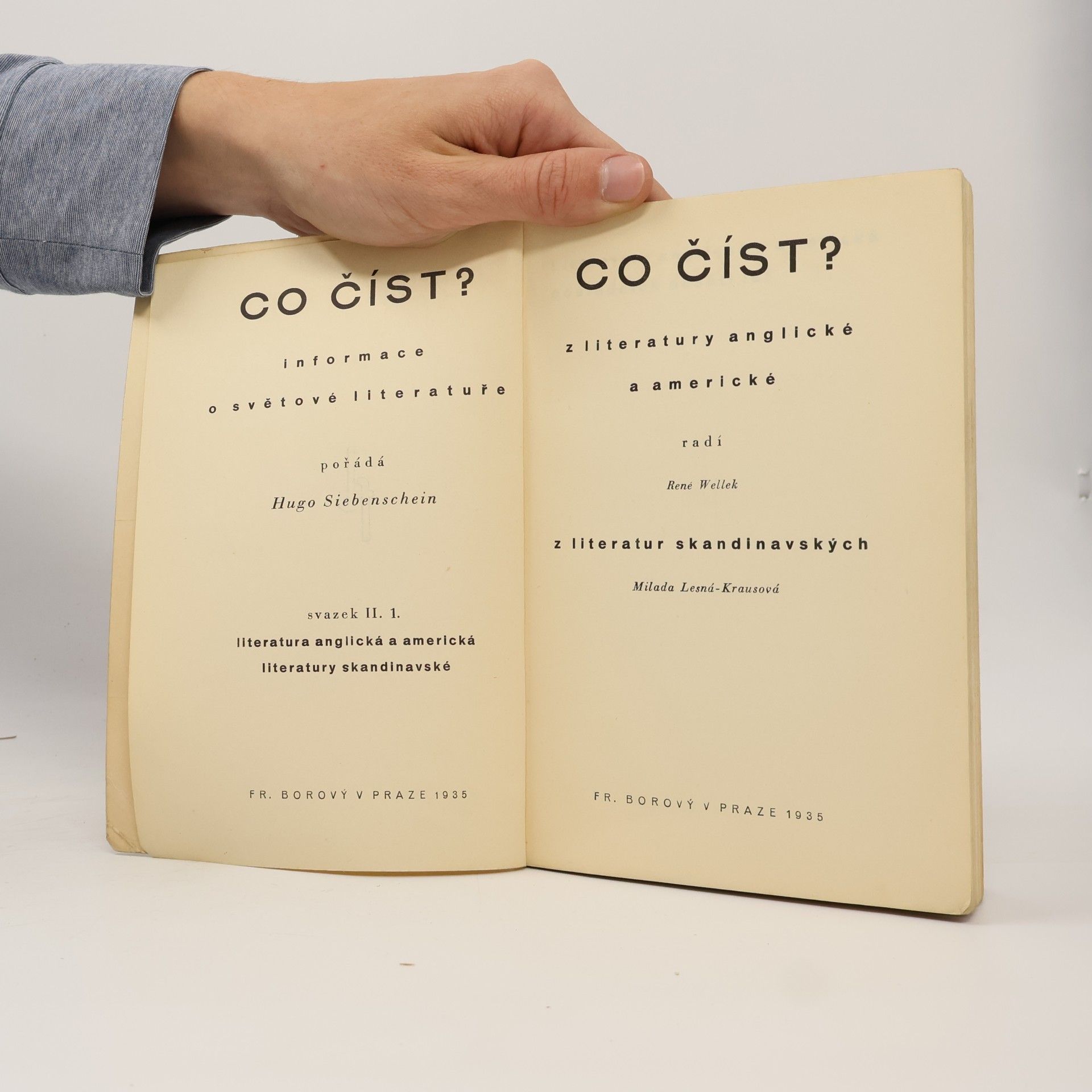 Kolektiv autorů Co číst z literatur germánských