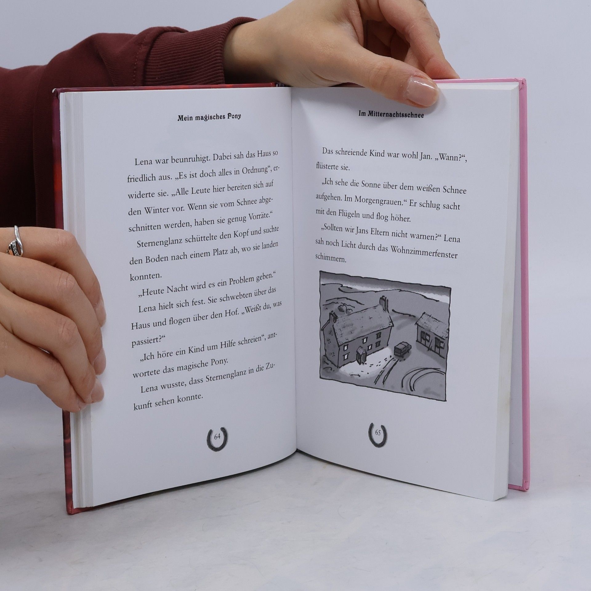 Jenny Oldfield Mein magisches Pony 4