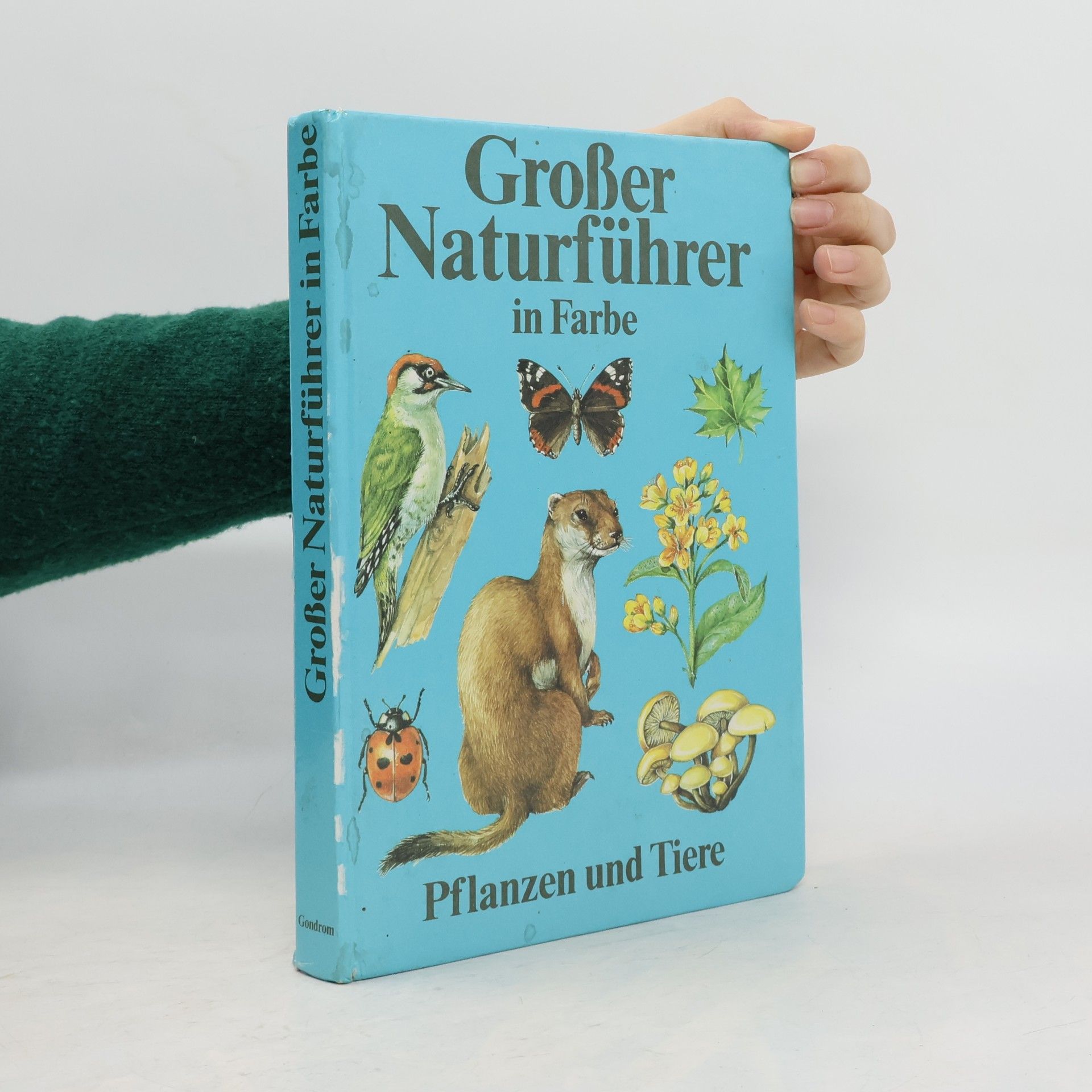 Großer Naturführer in Farbe
