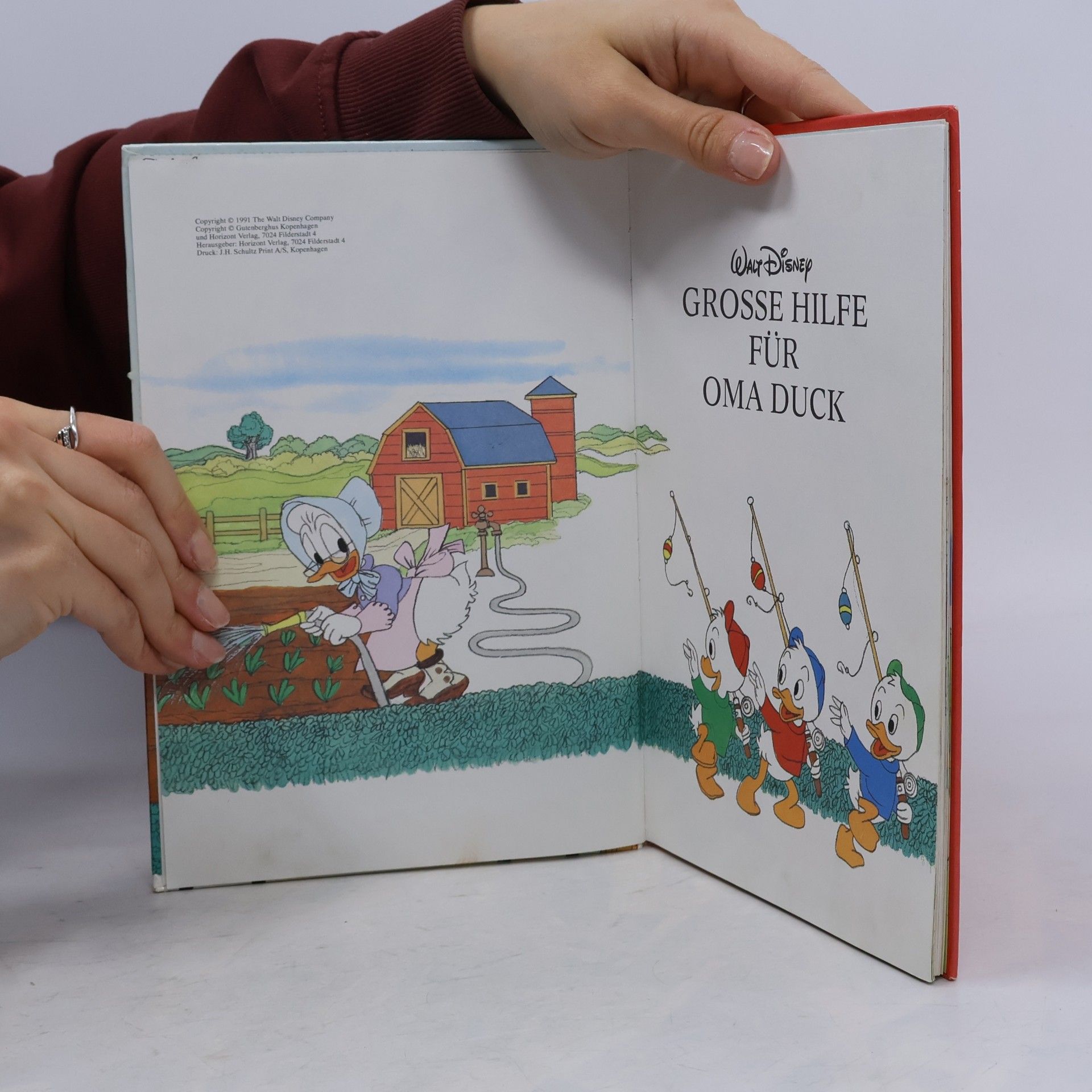 Autorenkollektiv Große Hilfe für Oma Duck