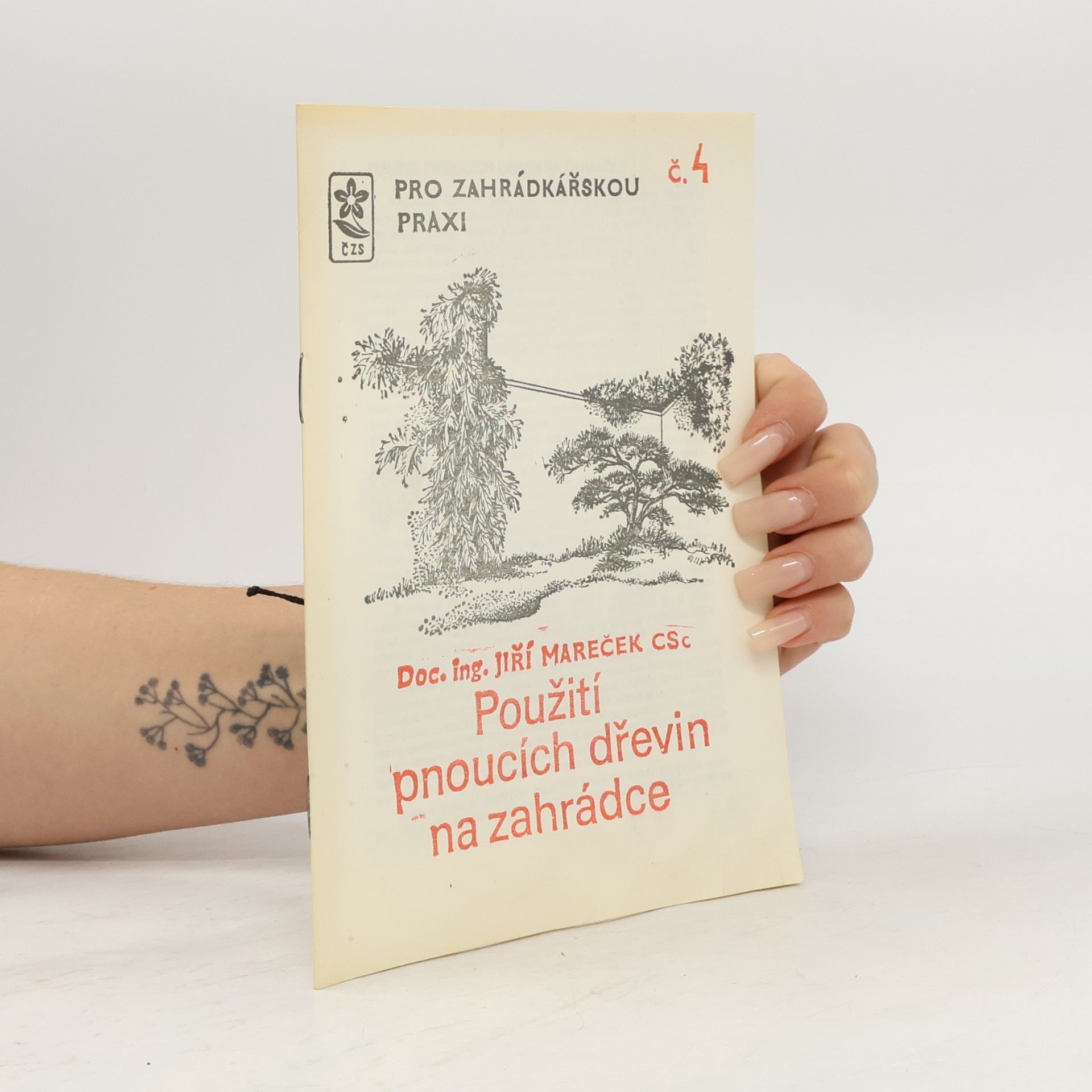 Použití pnoucích dřevin na zahrádce