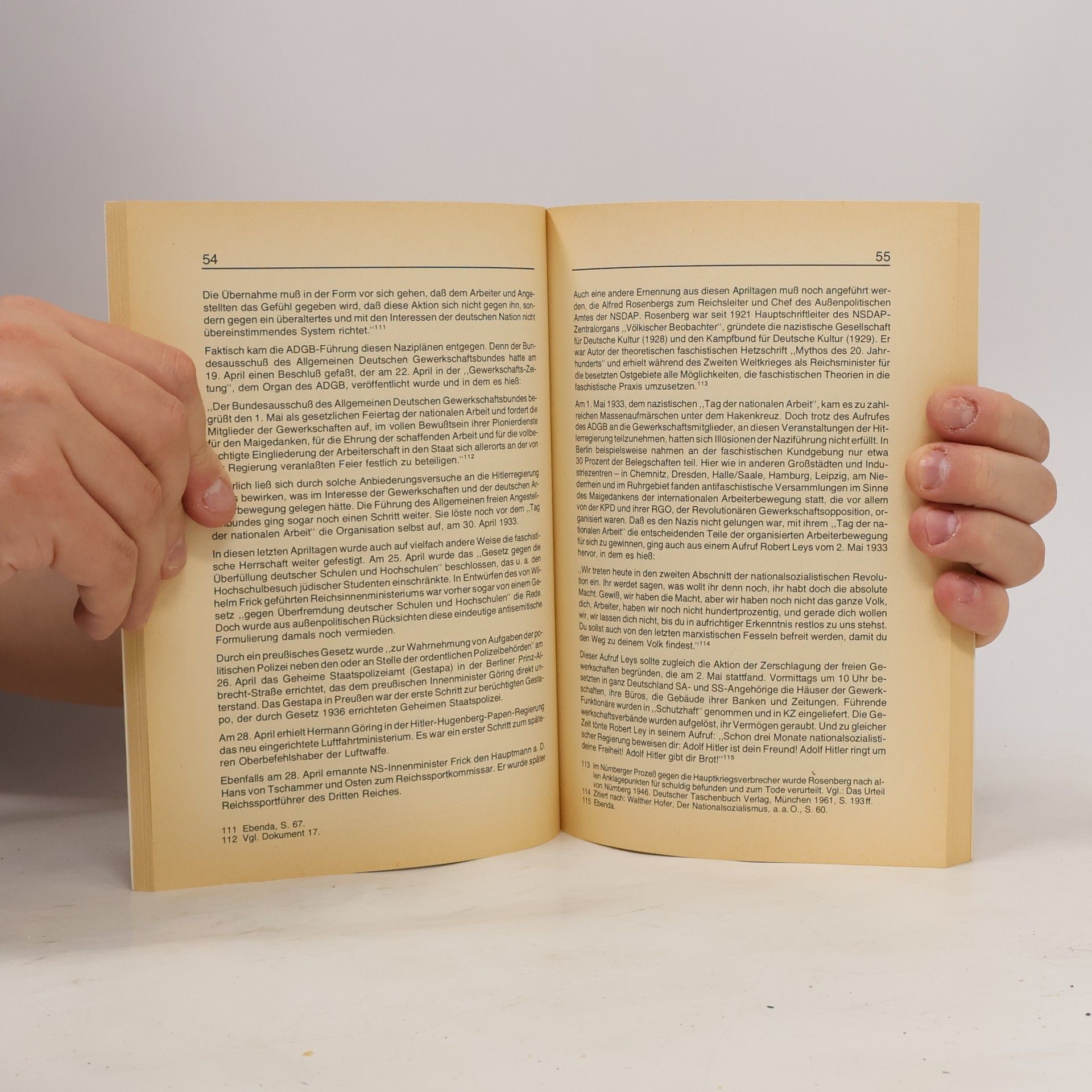 Heinz Brüdigam Das Jahr 1933 [neunzehnhundertdreiunddreissig]
