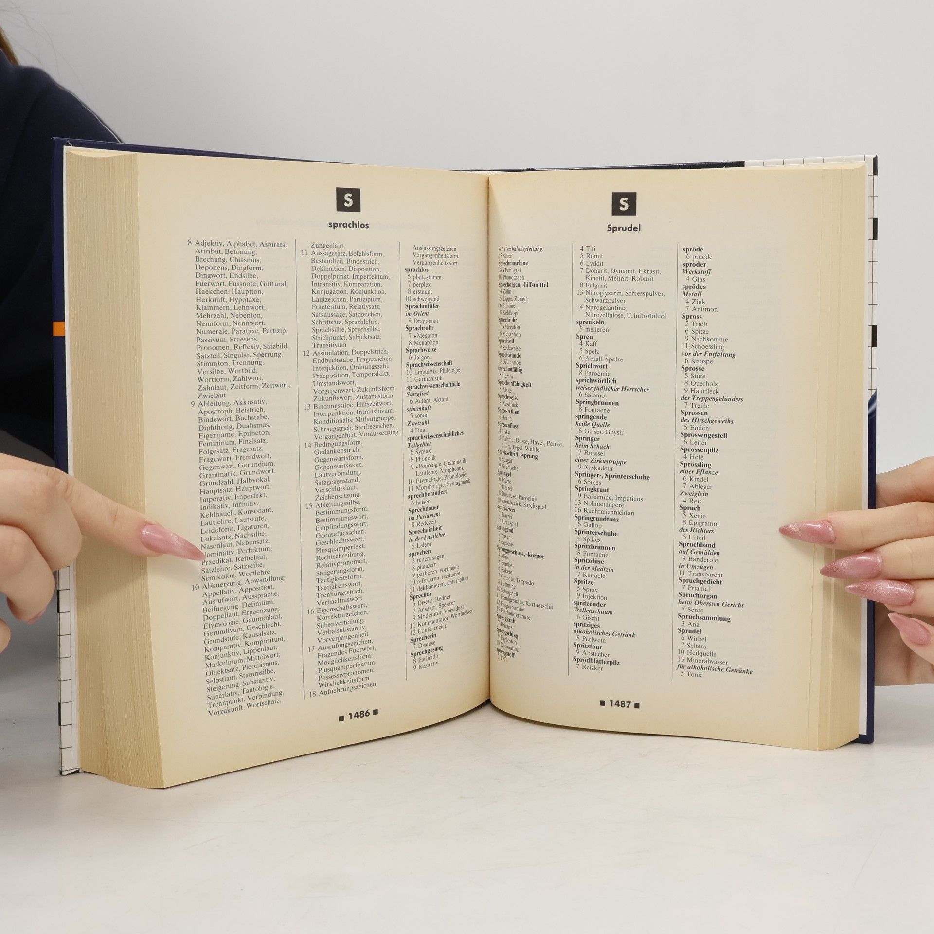 Various authors Das Grosse Kreuzwort Rätsel Lexikon