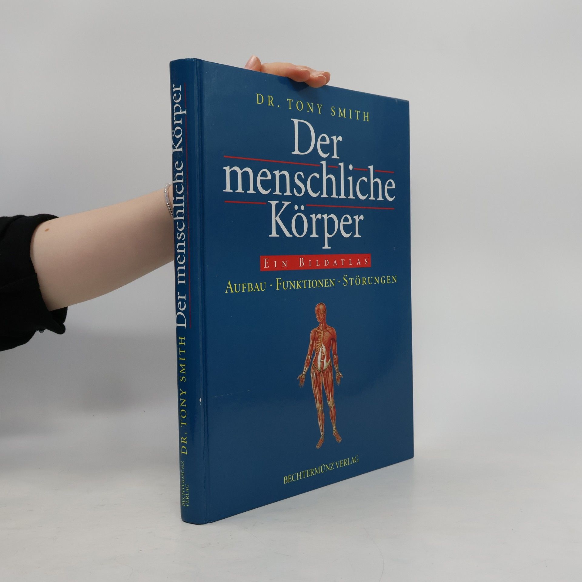 Der menschliche Körper.