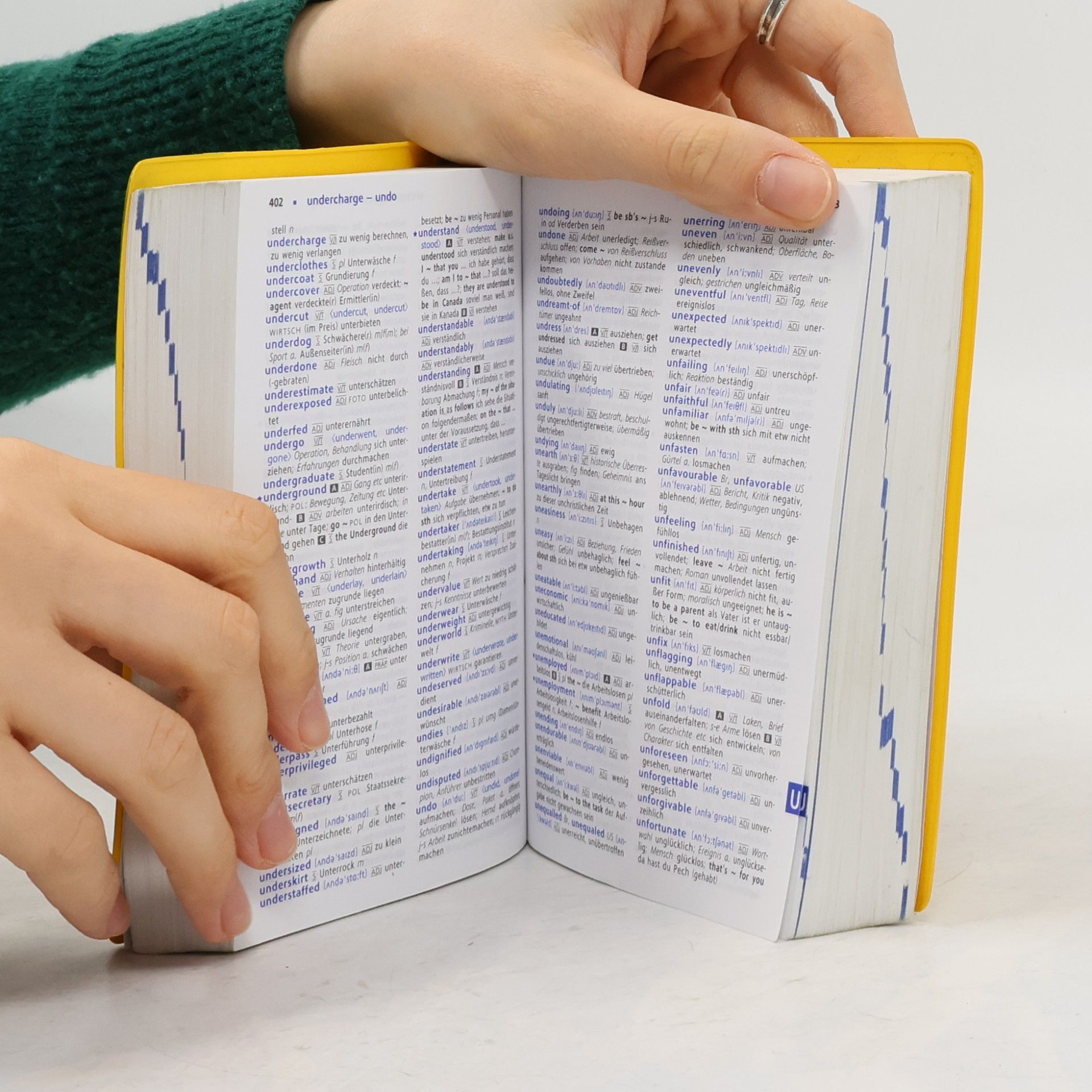 Heike Pleisteiner Langenscheidt, Schulwörterbuch Englisch