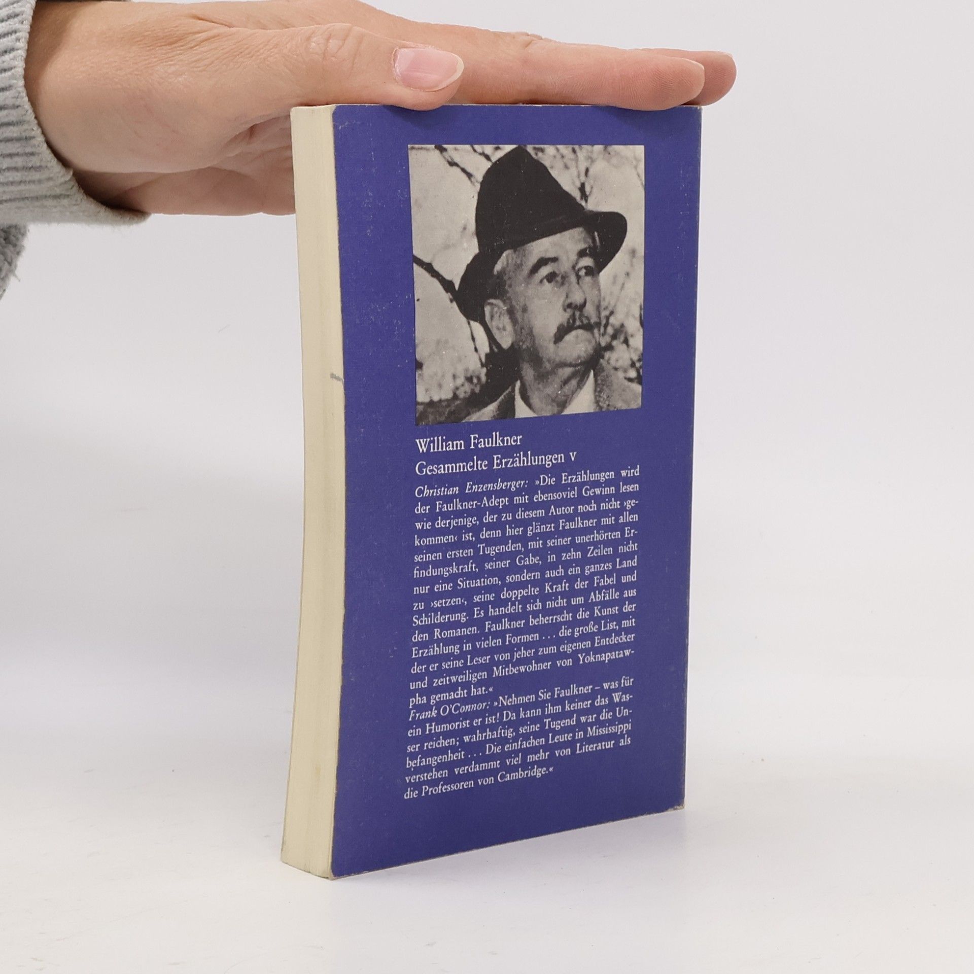 William Faulkner Gesammelte Erzählungen V
