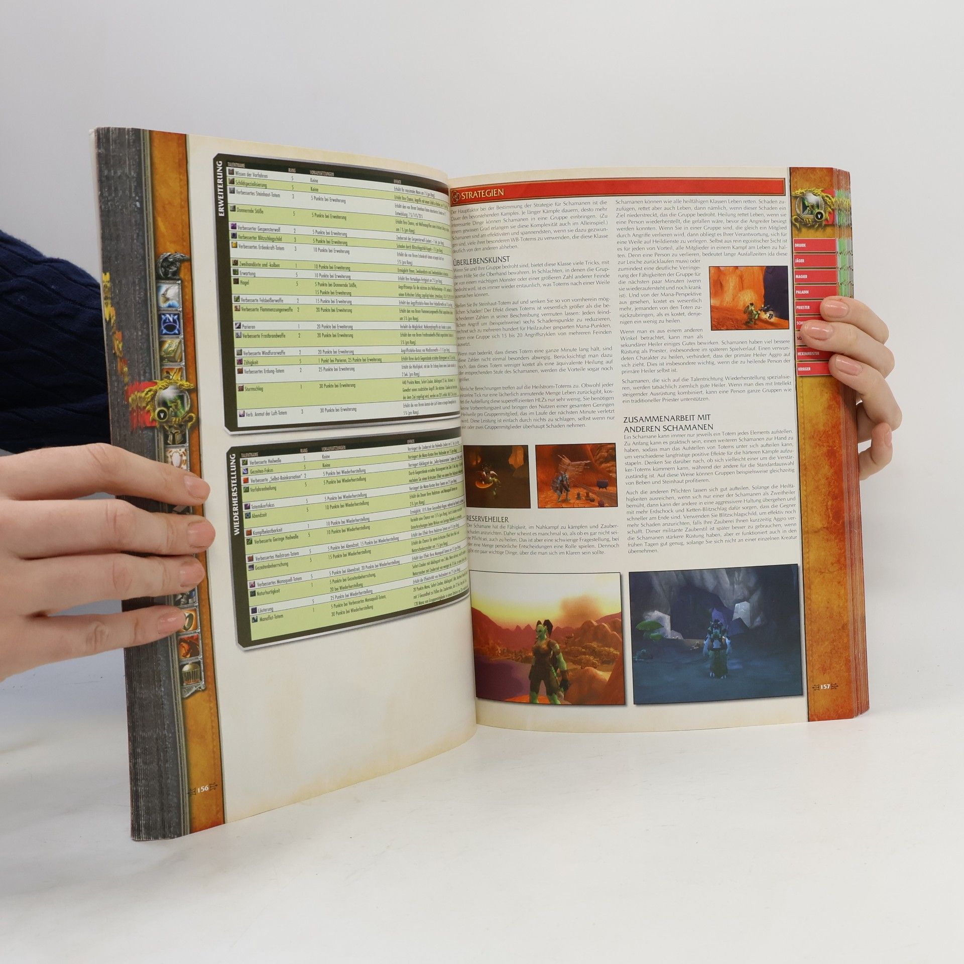 Michael Lummis World of Warcraft. Das Offizielle Strategiebuch