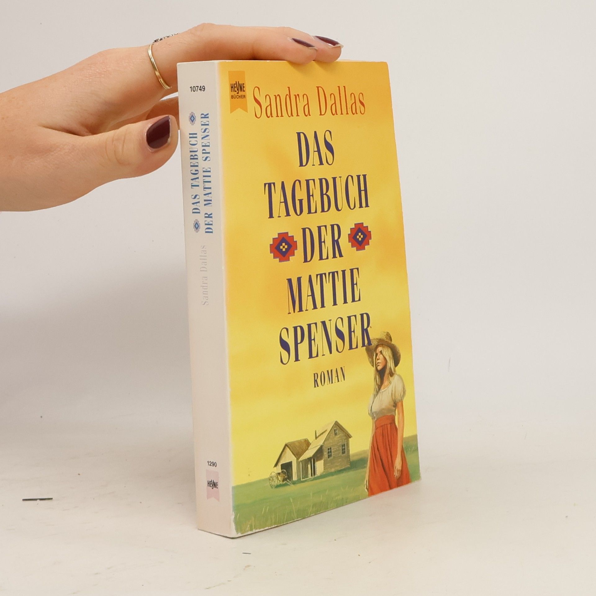 Das Tagebuch der Mattie Spenser