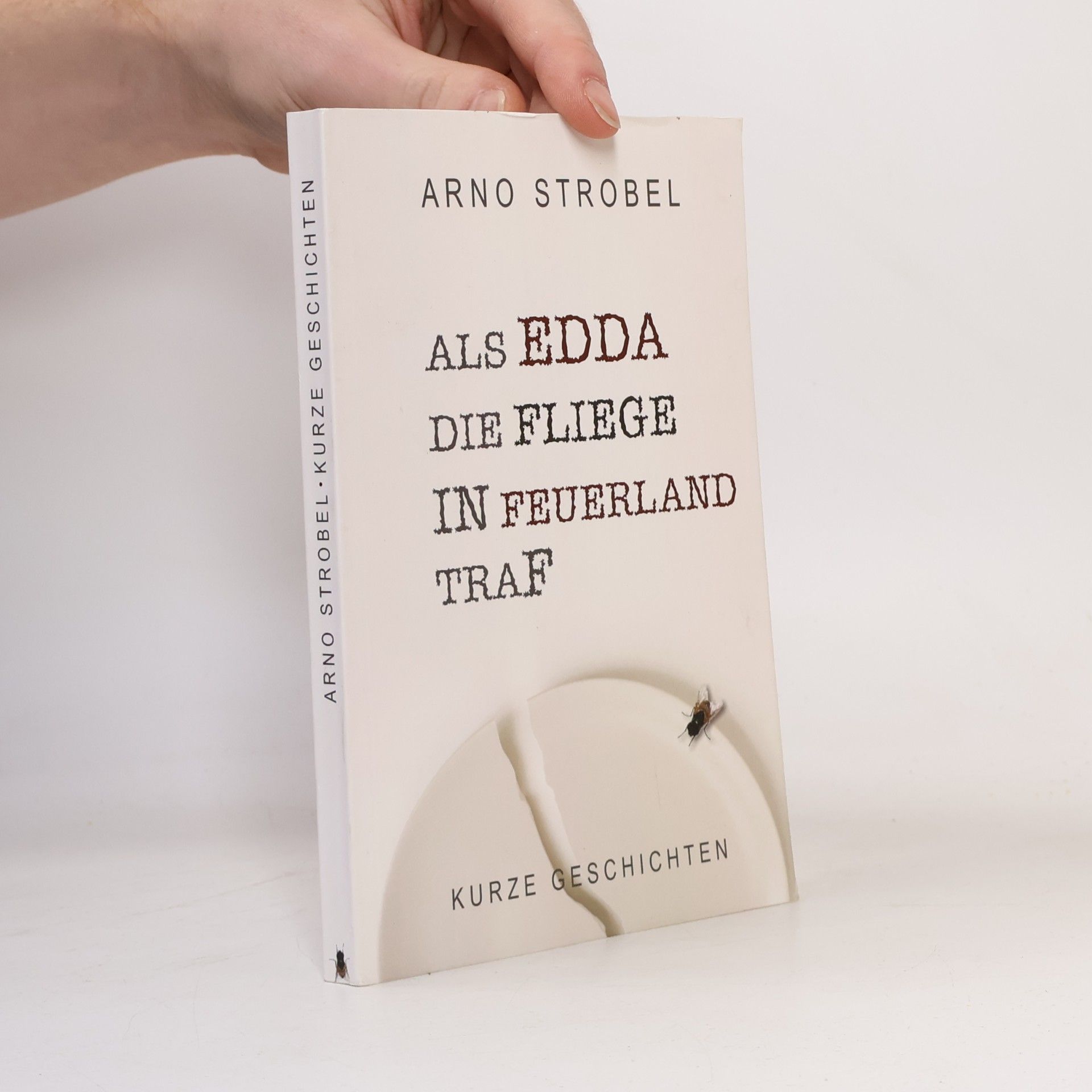 Arno Strobel Als edda die fliege in feuerland traf