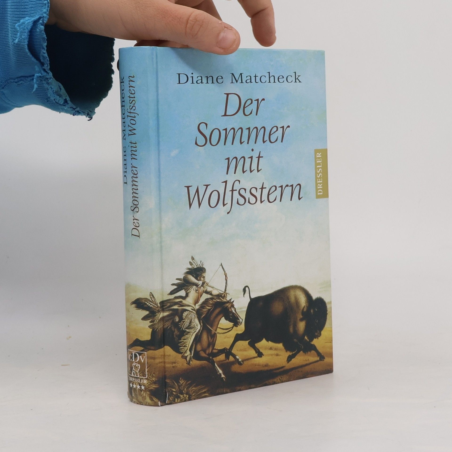 Diane Matcheck Der Sommer mit Wolfsstern