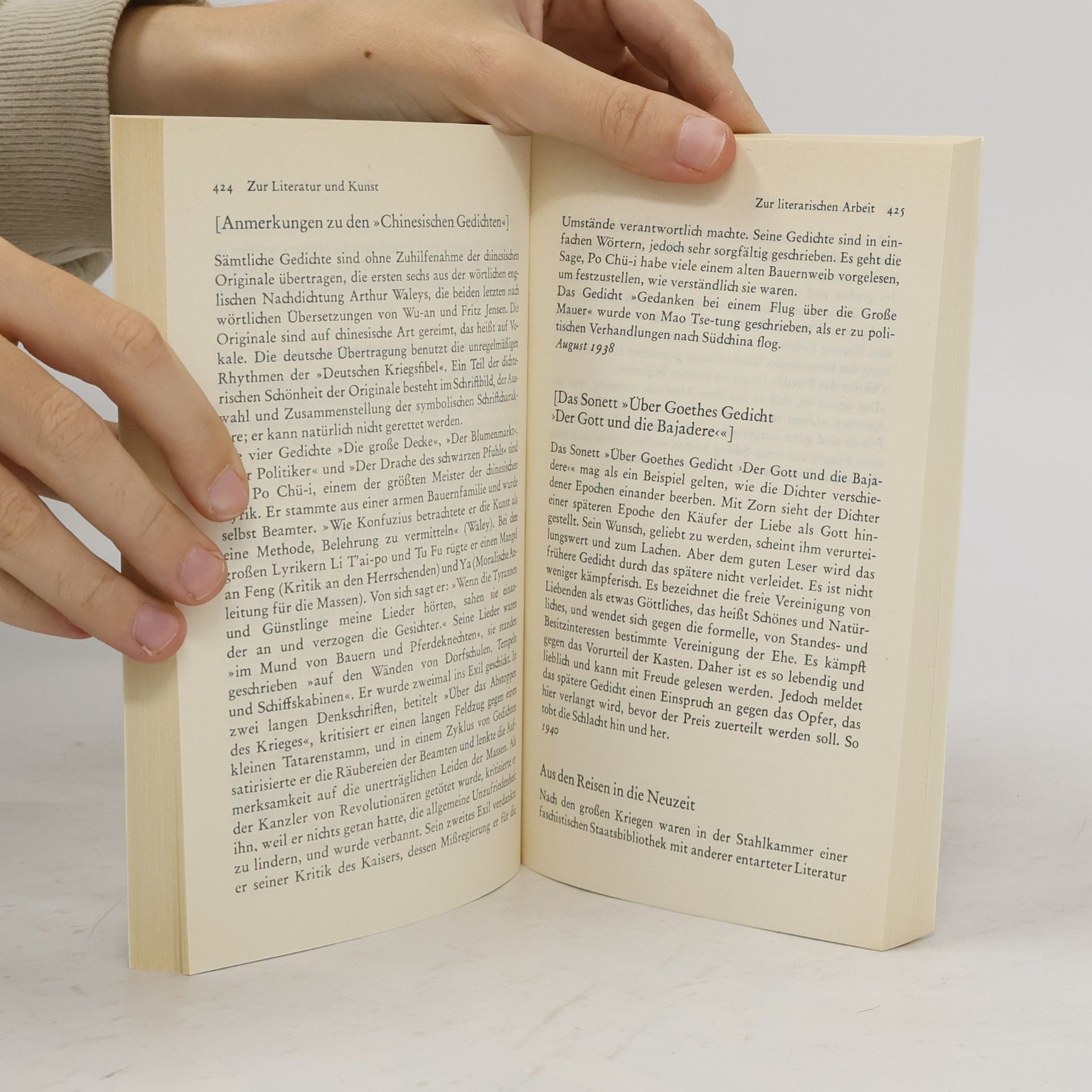 Bertolt Brecht Gesammelte Werke 19. Schriften zur Literatur und Kunst 2